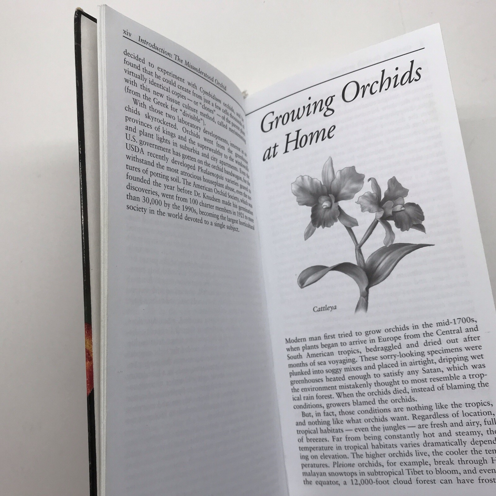 Taylor’s Guide to Orchids~1996~Judy White~Ex Library