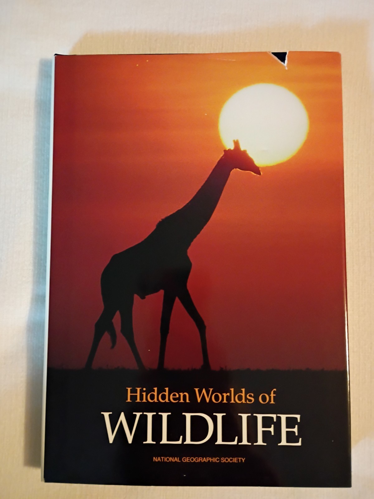 Lot of 4 National Geographic Society Books- Wilderness Animals World HC W DJ