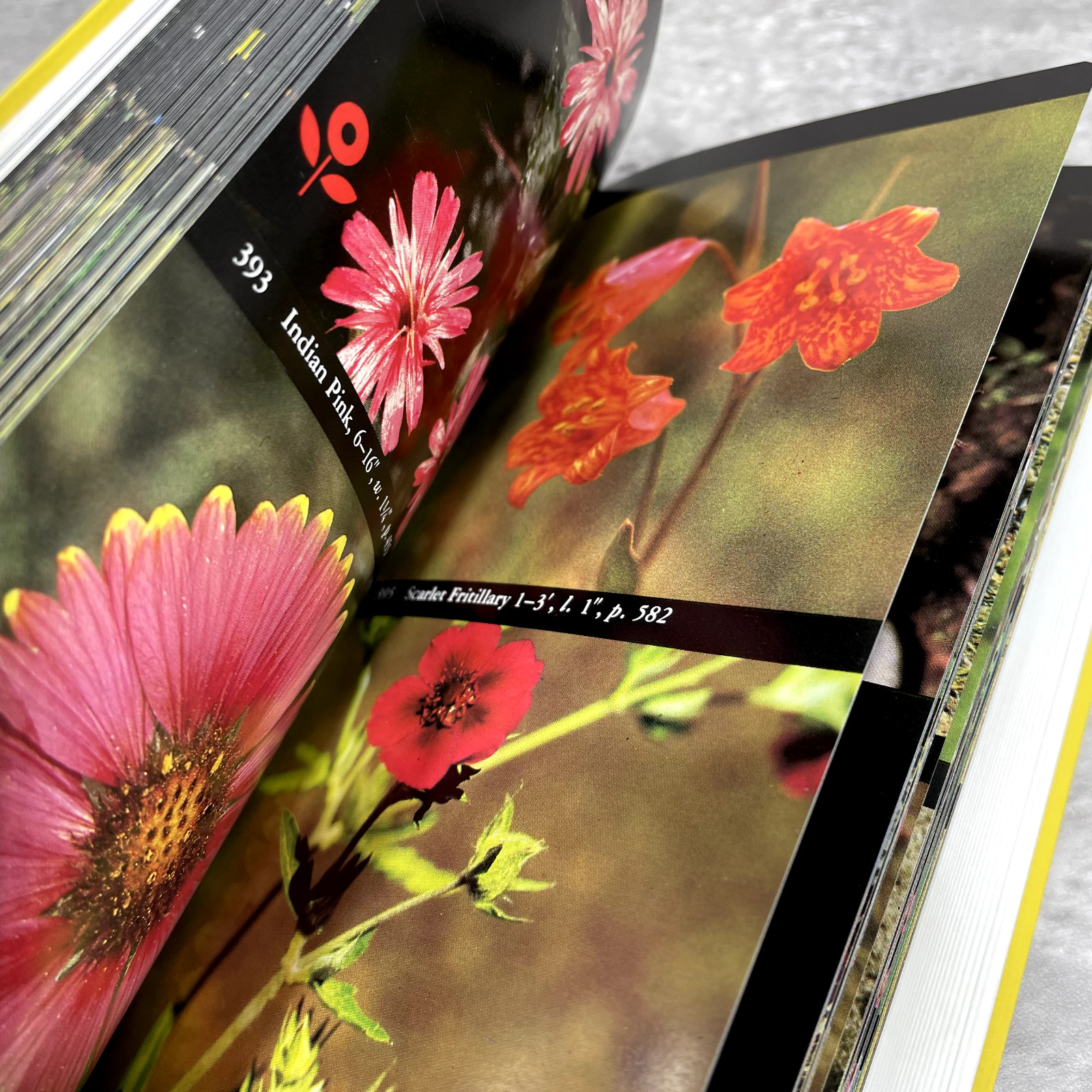 The Audubon Society Field Guide North American Wildflowers 1997 Alfred A. Knopf