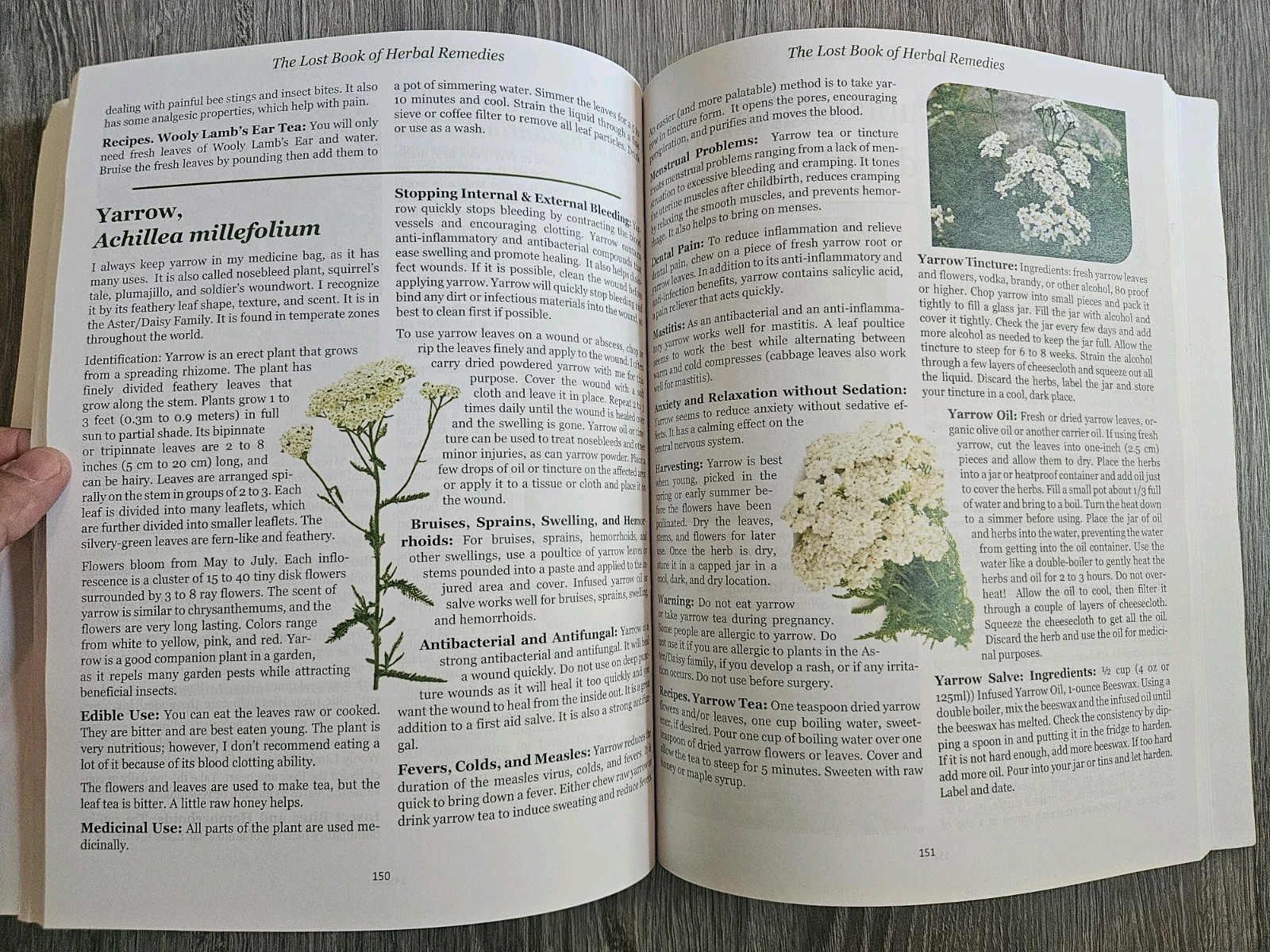 The Lost Book of Herbal Remedies – Claude Davis, Nicole Apelian Ph.D- VG