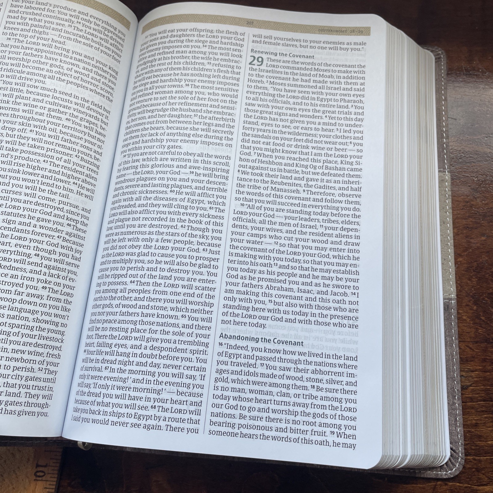 CSB Essential Teen Study Bible, Weathered Gray Cork Leathertouch: New