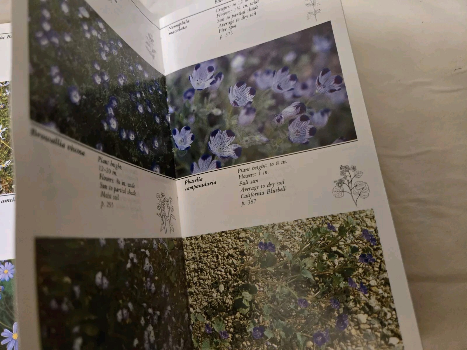 Taylor’s Guides to Gardening: Annuals, Bulbs,Perennials First Editions Softcover