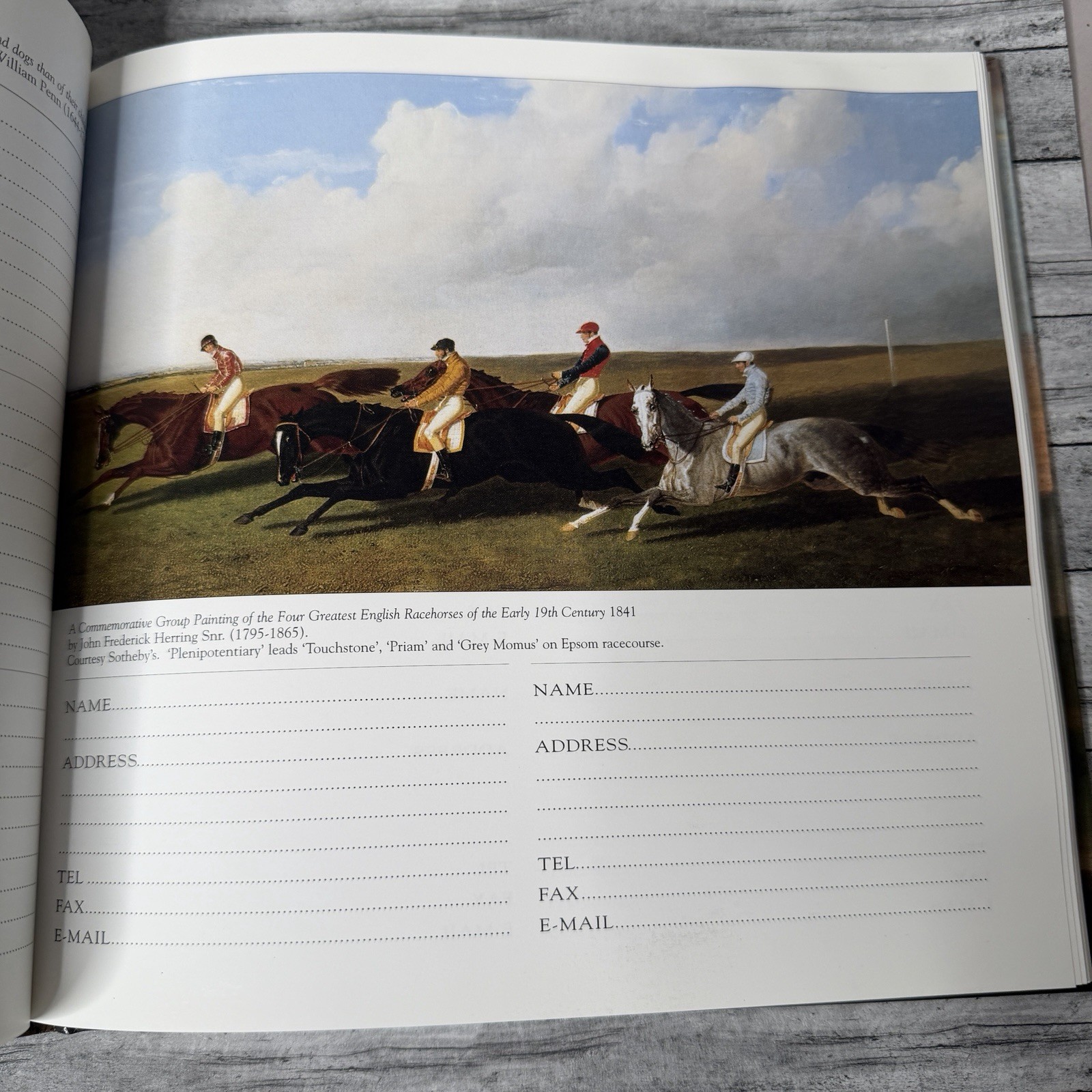 Horse Racing Address Book Equestrian Art Famous Thoroughbred Horses UK Hardback