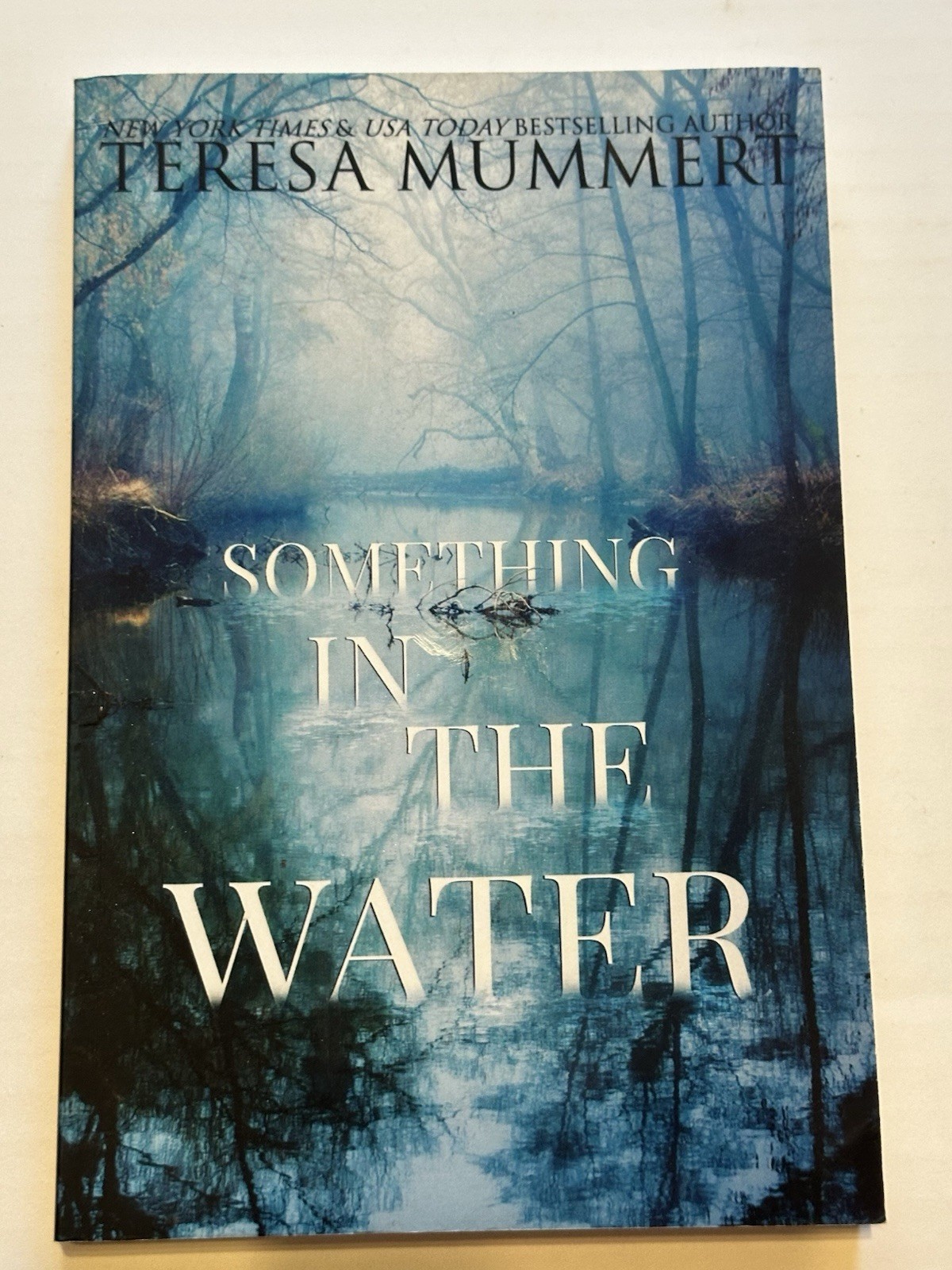 Something in the Water by Teresa Mummert (2019, Trade Paperback)