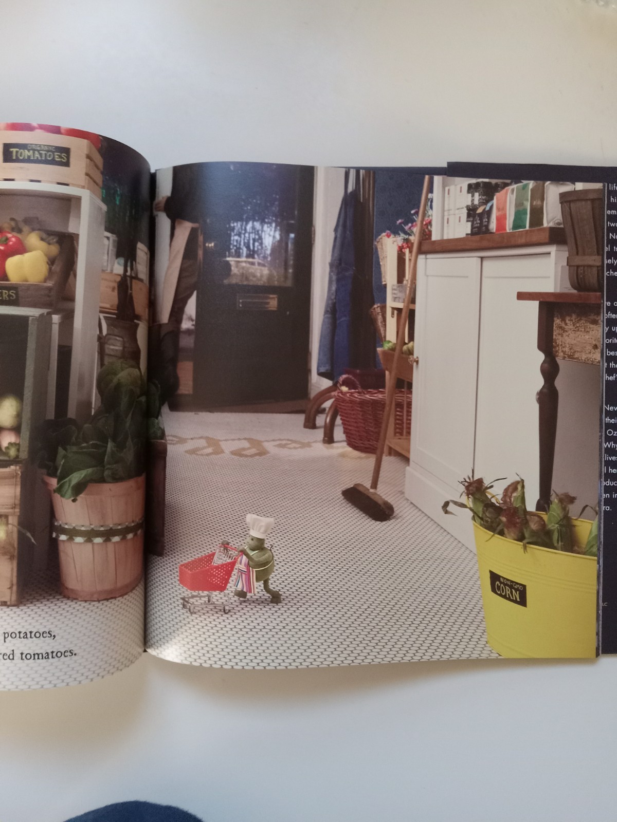 Tiny Chef : And Da Nighttime Bladventure by Adam Reid, Rachel Larsen and…