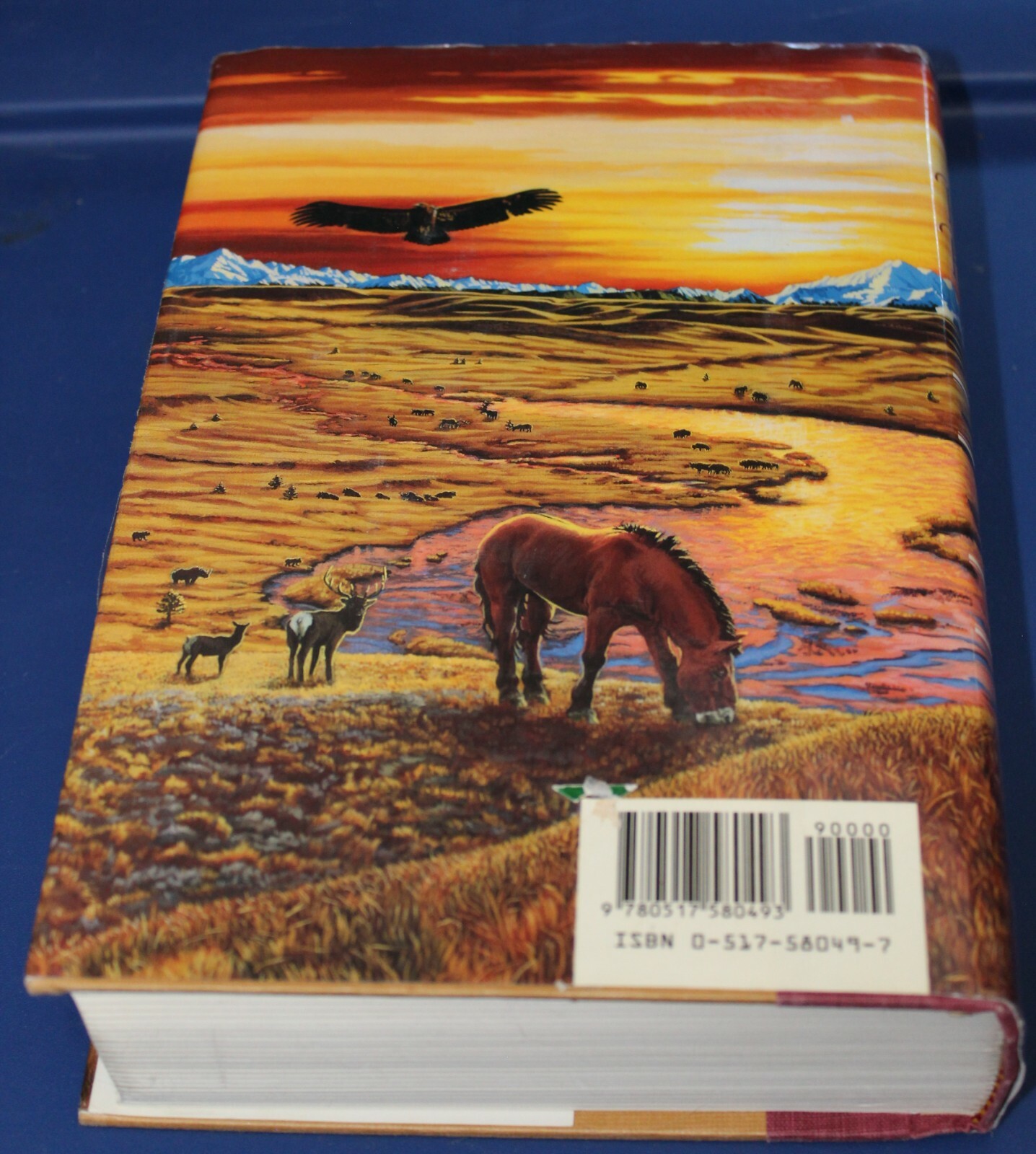 Earth’s Children Ser.: The Plains of Passage by Jean M. Auel (1990, Hardcover)