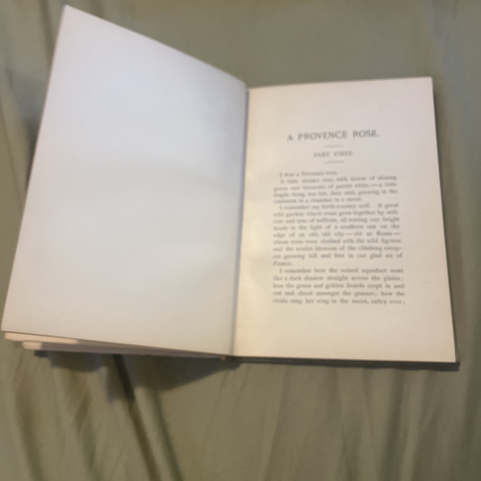 A Provence Rose 1900 By Ouida [Leather Bound]