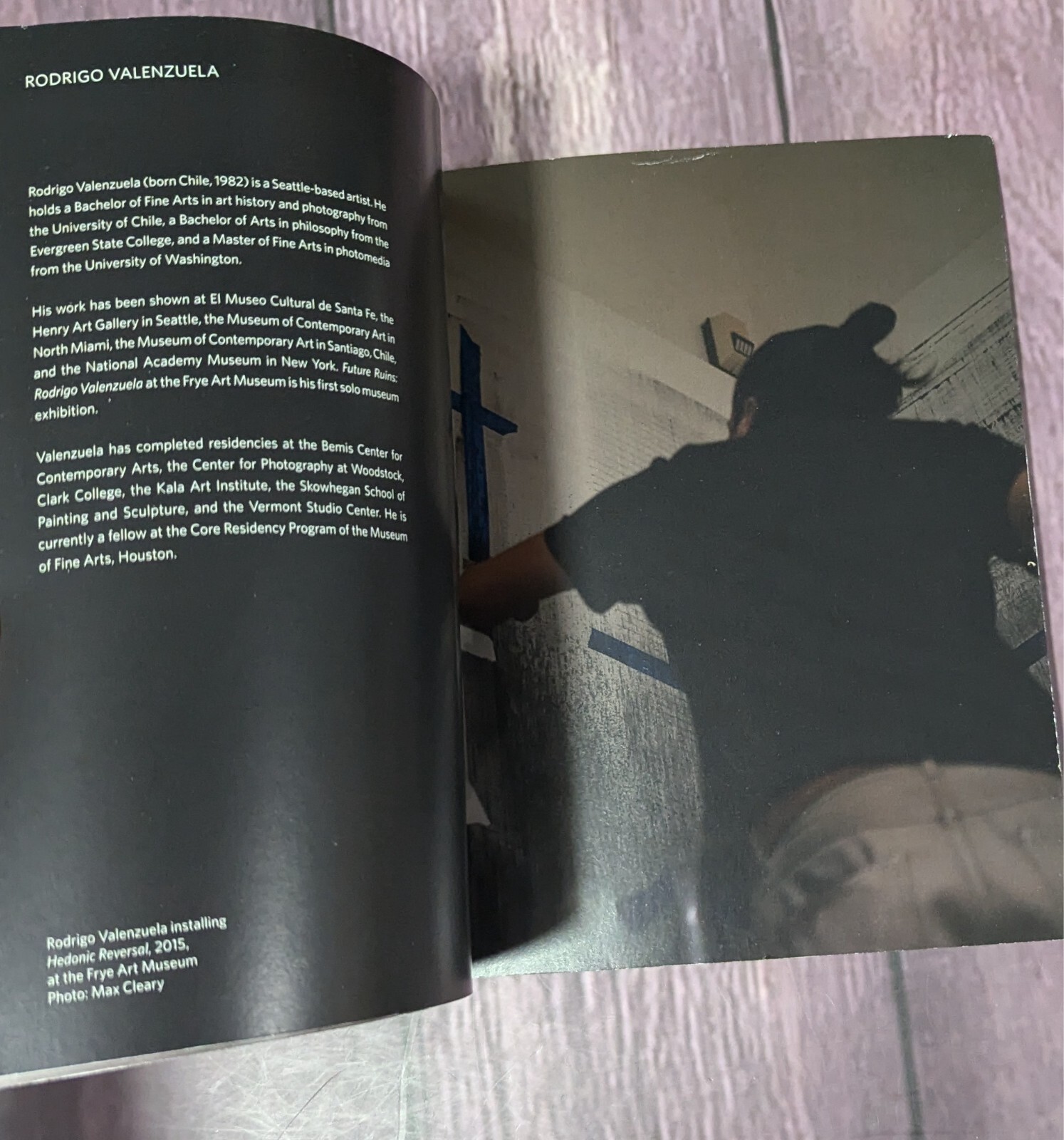 Future Ruins : Rodrigo Valenzuela by Jo-Anne Birnie Danzker – SHIPS FREE!