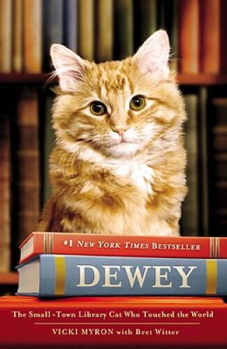 Dewey the Library Cat: A True Story – Paperback By Myron, Vicki – VERY GOOD