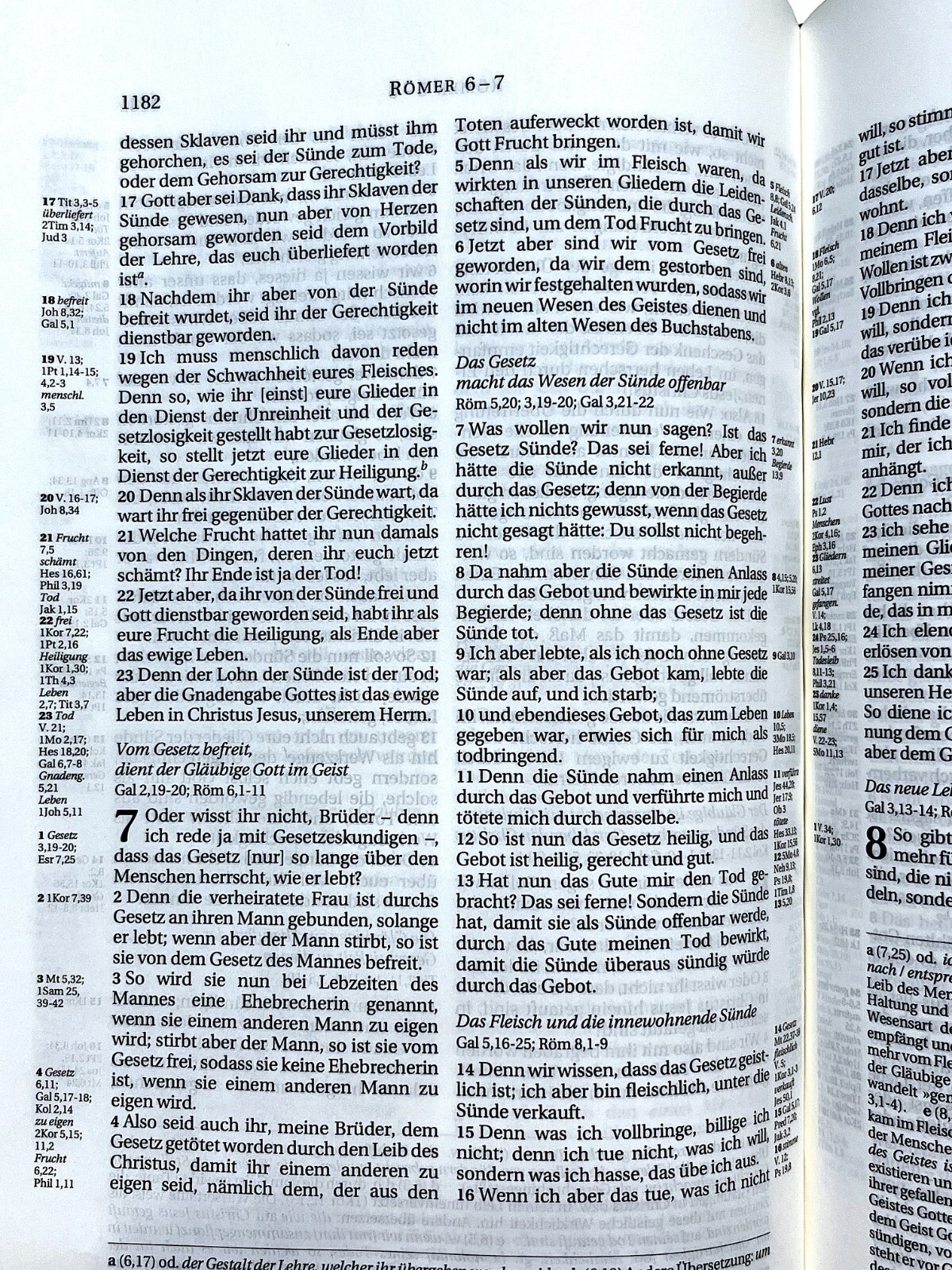 German Bible, Die Bibel, Schlachter 2000, Imitation Leather, Brown Black 2-toned