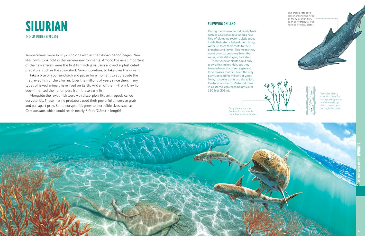 Prehistoric: Dinosaurs, Megalodons, and Other Fascinating Creatures of the Deep