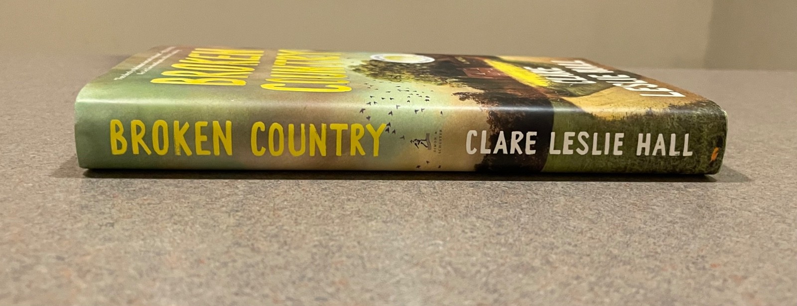 Broken Country by Clare Leslie Hall (2025, First Edition, 1st Printing Hardcover