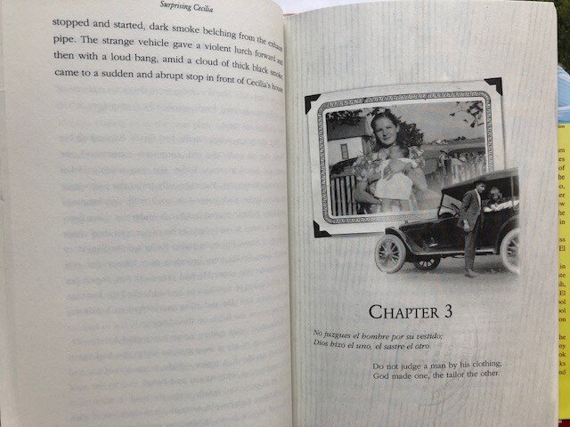 Surprising Cecilia by Denise Gonzales Abraham – Hardcover, all 221 pages clean