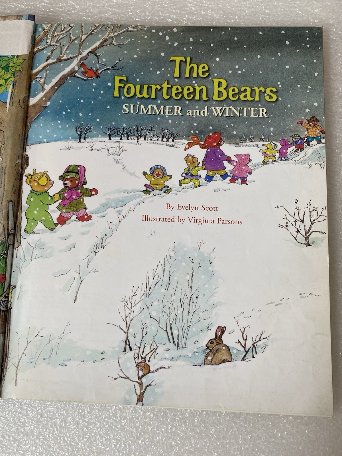 The Fourteen Bears in Summer and Winter By E. Scott-First Golden Classic Edition