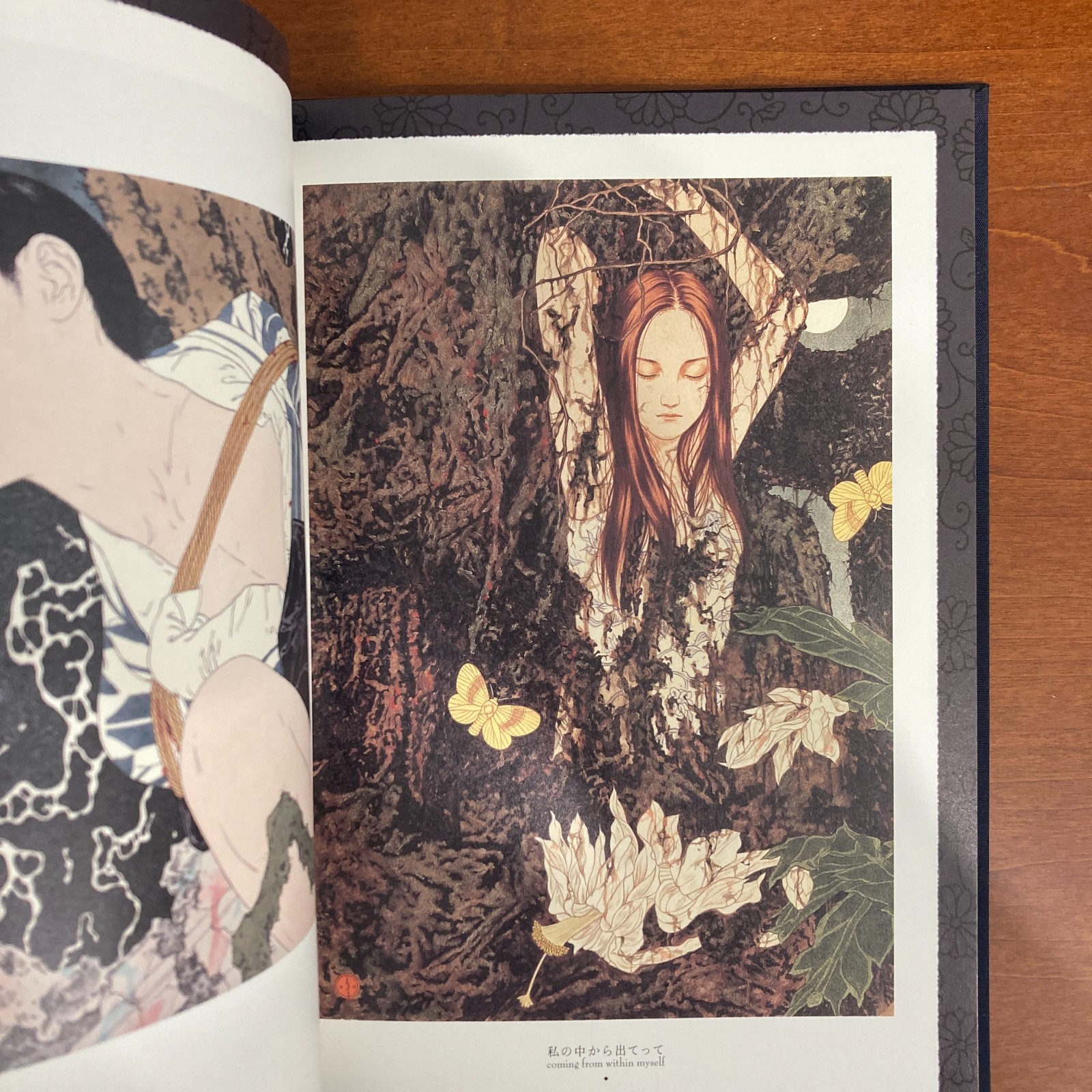 Takato Yamamoto Alter of Narcissus Art Book Illustration