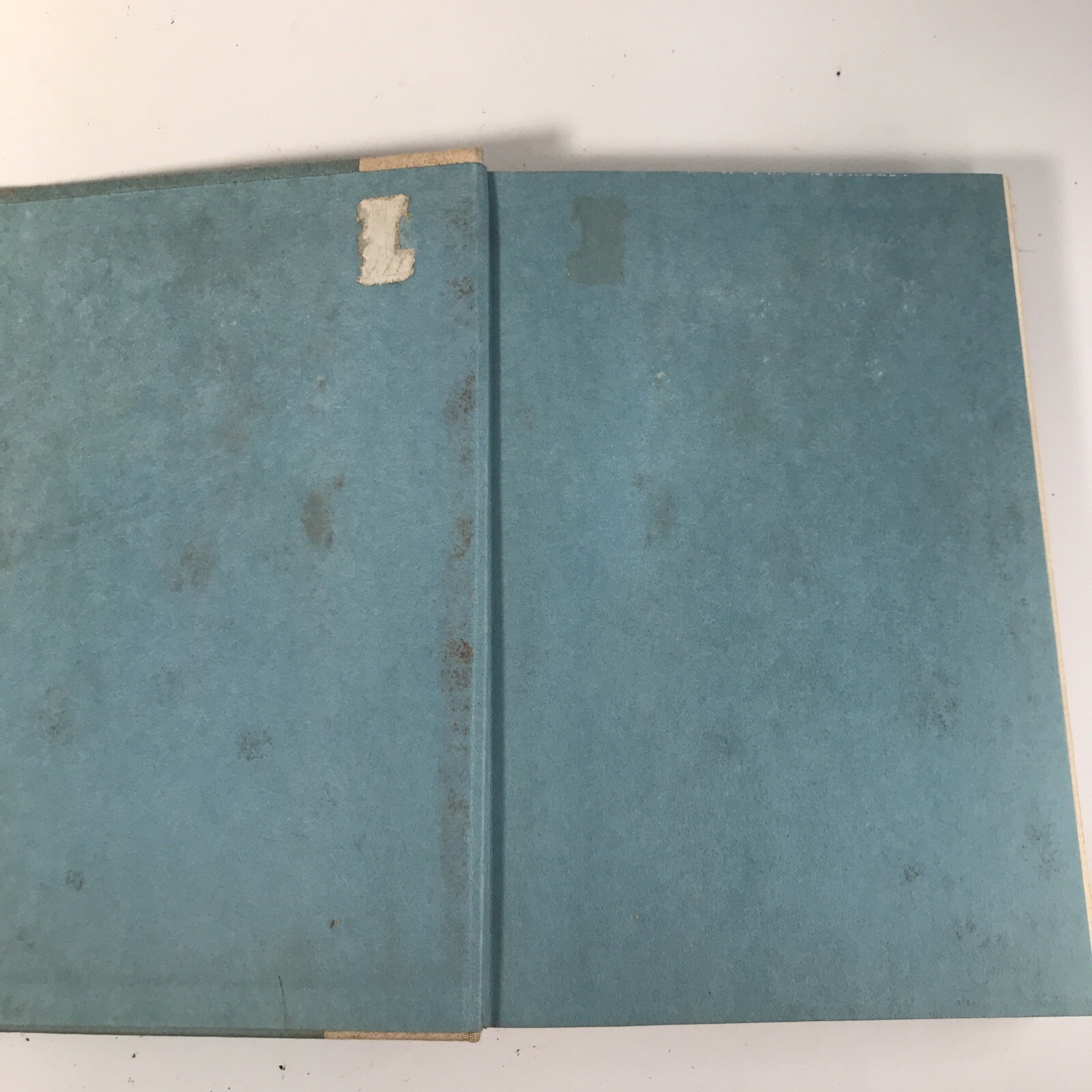 THIS DEMI PARADISE , Margaret Halsey 2nd Printing, 1960 Simon And Schuster