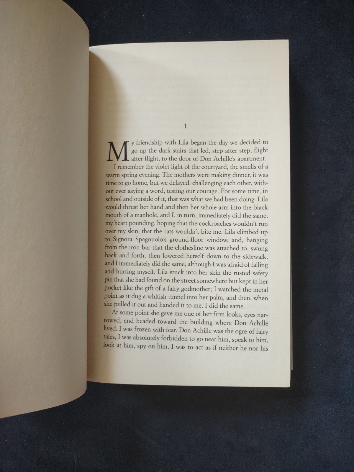 MY BRILLIANT FRIEND Neapolitan Novels Book One Softcover Ferrante Italian Author