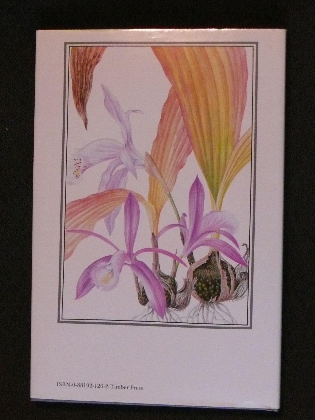 The Genus Pleione A Kew Magazine Monograph by Phillip Cribb and Ian Butterfield