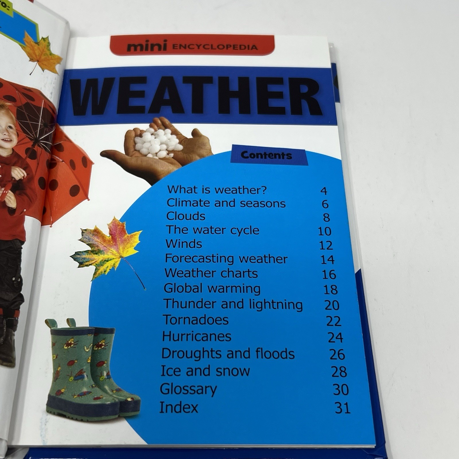 Children’s Mini Encyclopedia Lot of 2 Weather Dino’s New