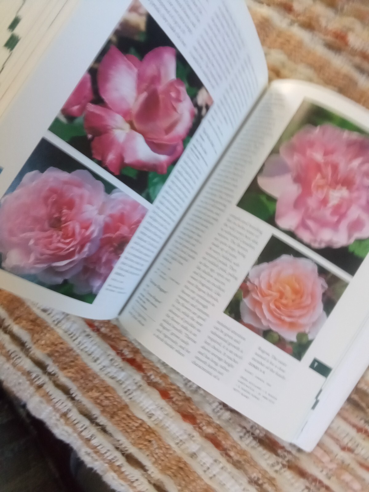 Botanica’s Pocket Roses: Over 1000 pages and 2000 roses listed (2001,Pb)