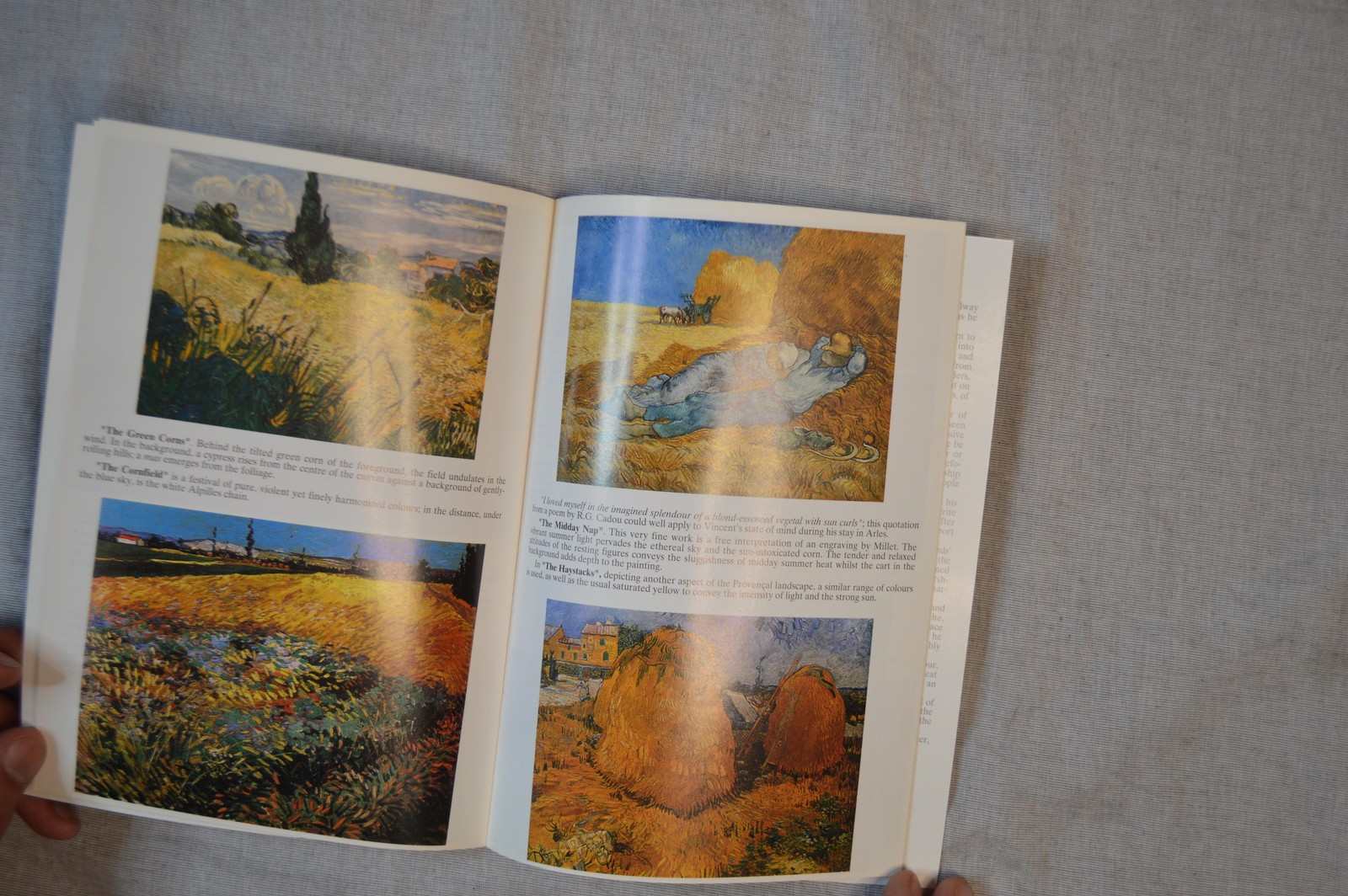 Van Gogh In Provence English Edition 2001 Ajax Monaco VTG
