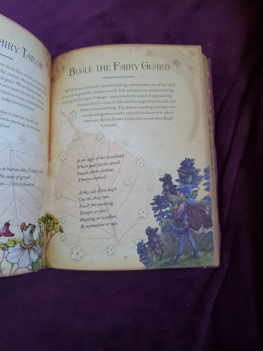 The Girls‘ Book of Flower Fairies (HC, 2008) Frederick Warne (Crafts & Stories)