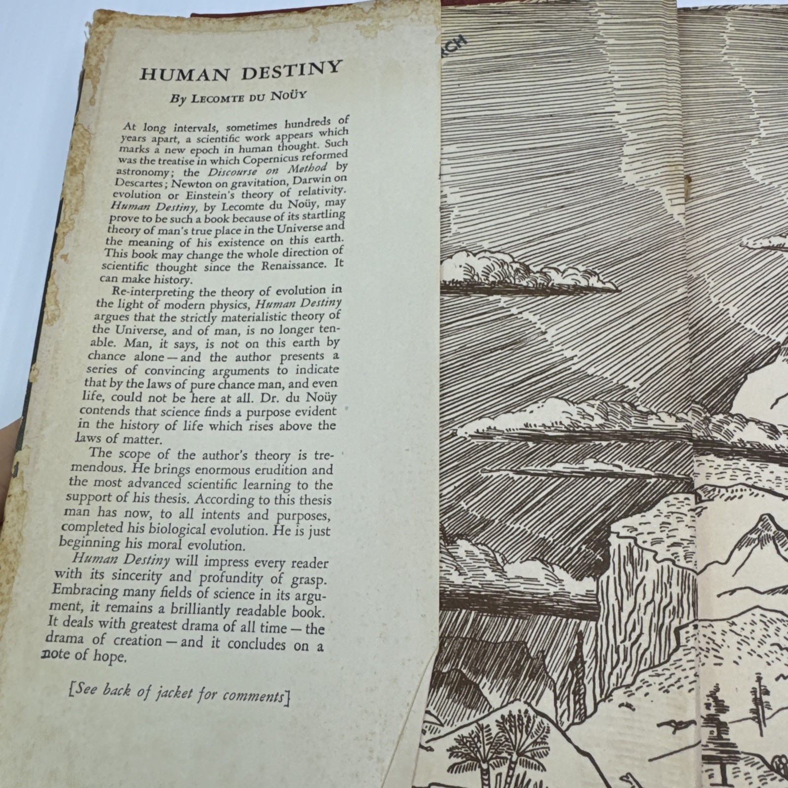 Human Destiny Lecomte du Nouy Hardcover 1947 Longmans Green and Co.