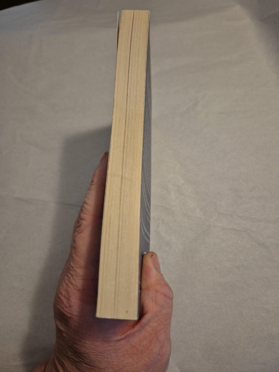 History of the World in 10 1/2 Chapters by Julian Barnes Vintage TPB Postmodern