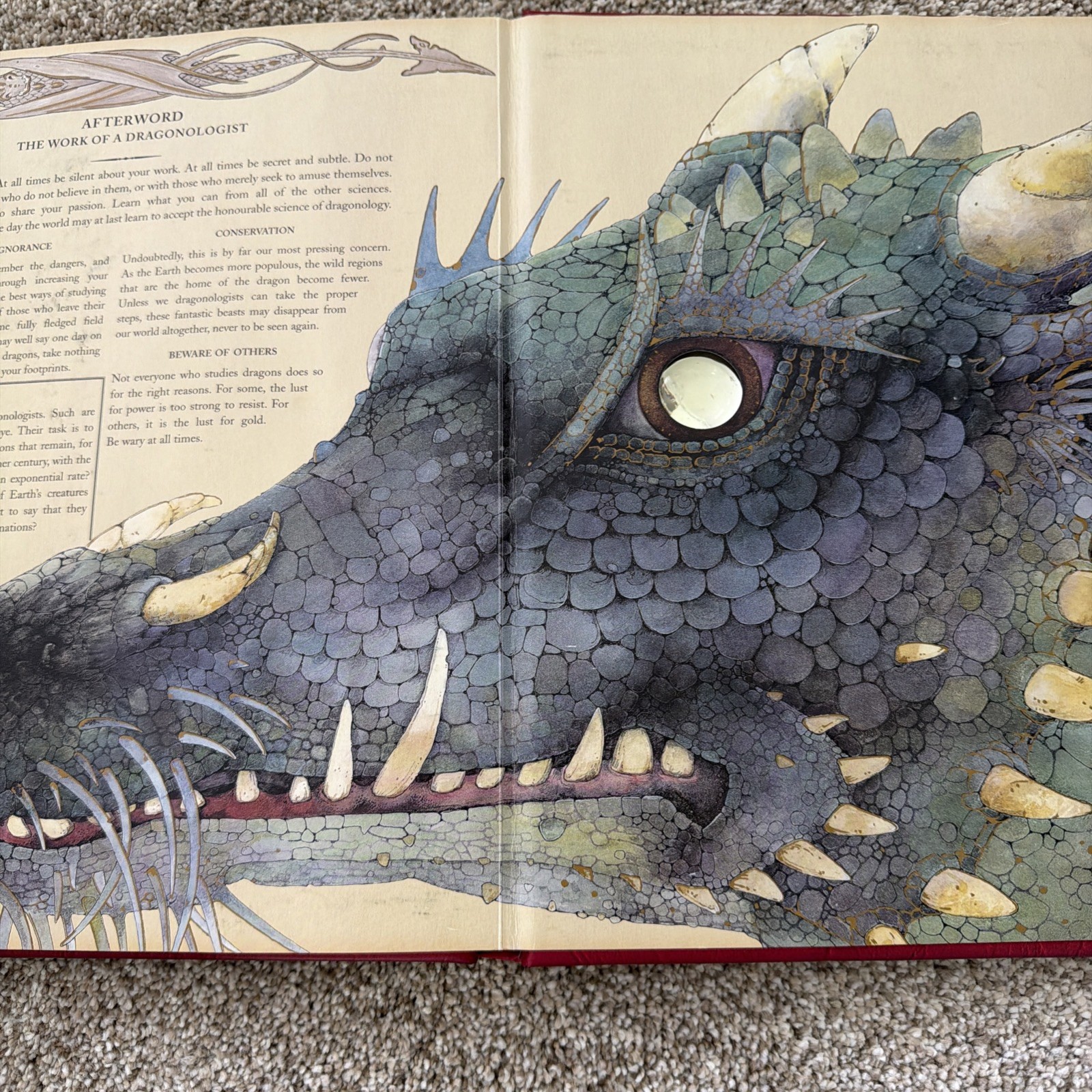 Ologies Ser.: Dragonology : The Complete Book of Dragons by Ernest Drake (2003,