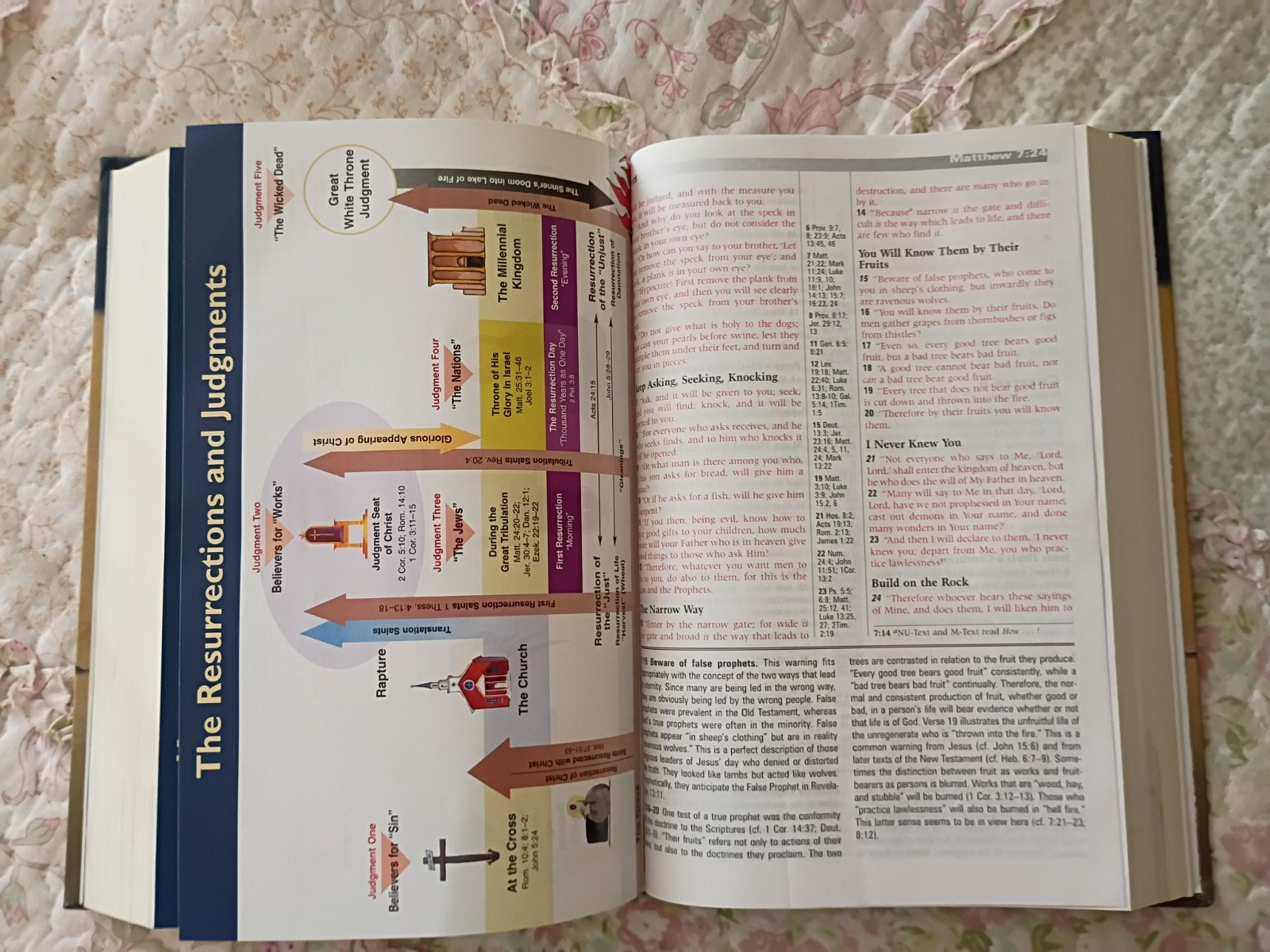 NKJV Tim LaHaye Prophecy Study Bible
