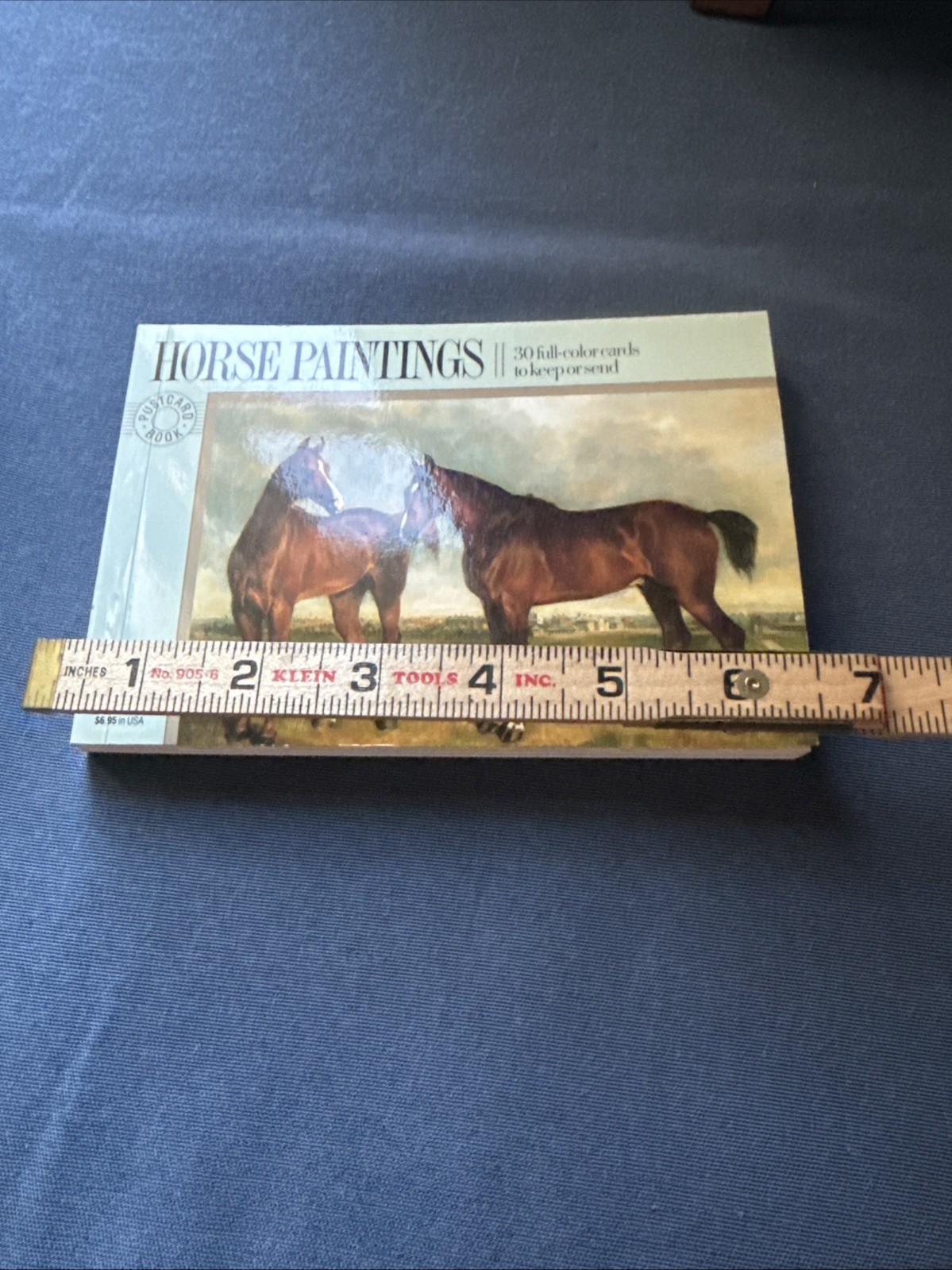 HORSE PAINTINGS: A Book of 30 Postcards By Pavilion Books, Famous Artists Prints