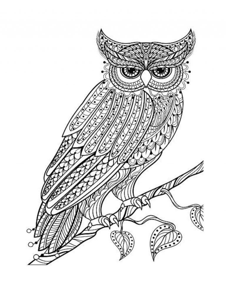 Best Save the Owls Coloring Save the Planet Series 108 Pages 8.5 x 11 All Ages