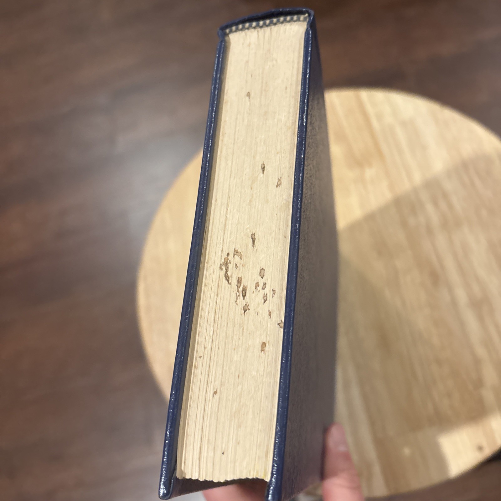 Gleanings In Joshua By Arthur W. Pink HB