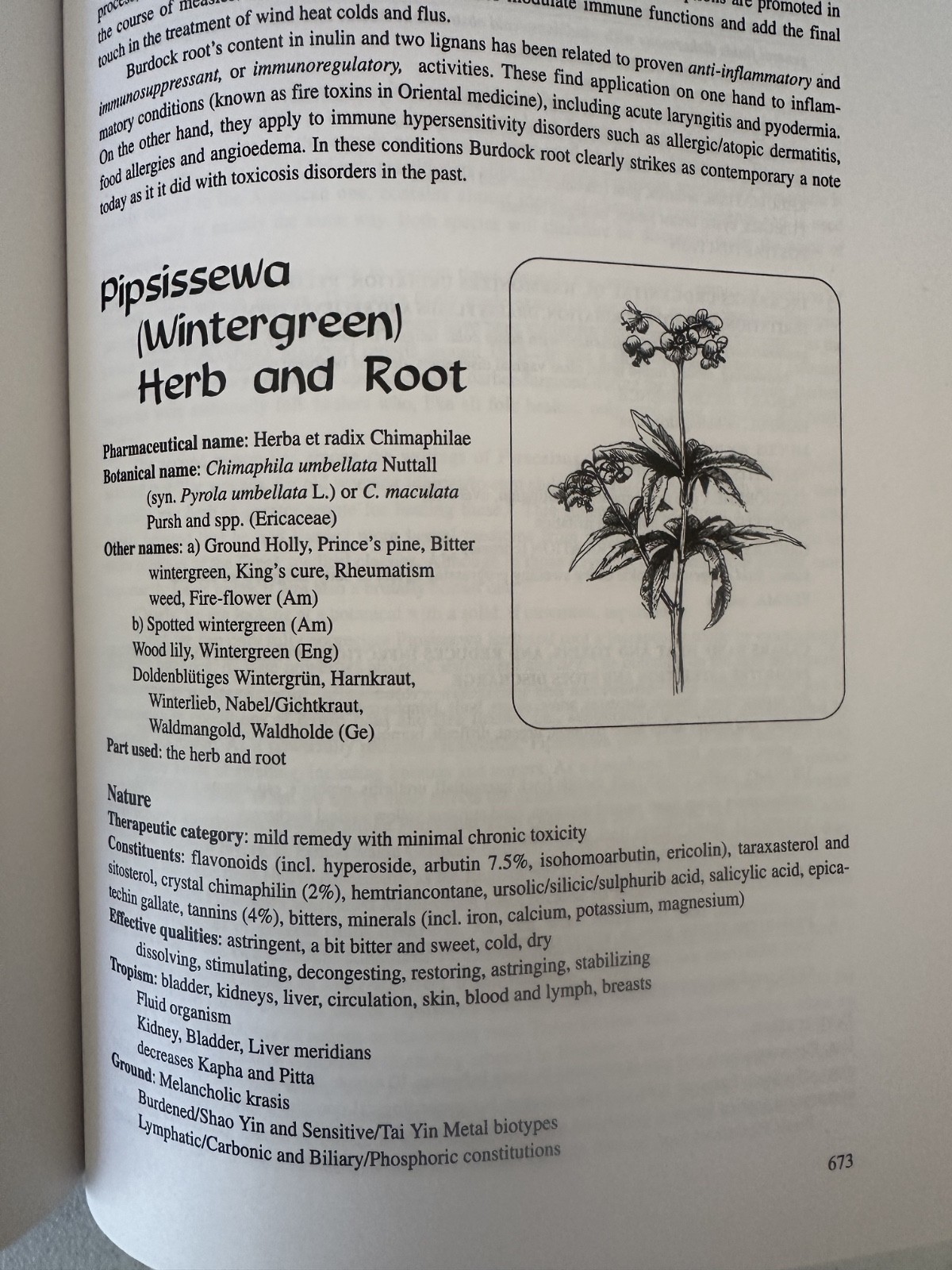 Energetics of Western Herbs Vol I II 1 2 Holmes PB set 2nd ed herbs homeopathic