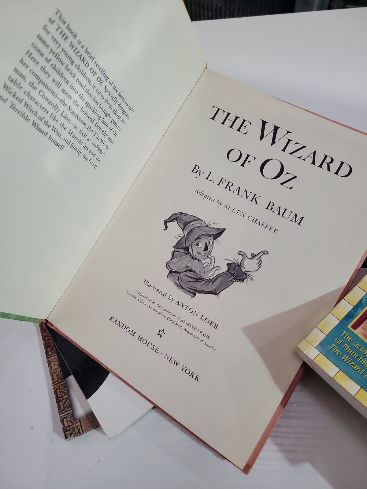 The Wizard of Oz BOOK BUNDLE ~ 7 AWESOME OZ Books ~ (7th bonus book added!)
