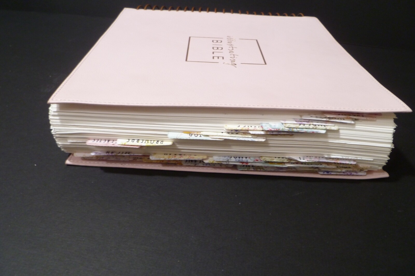 Illustrating Bible NIV Pink by Dayspring (2020, Spiral)