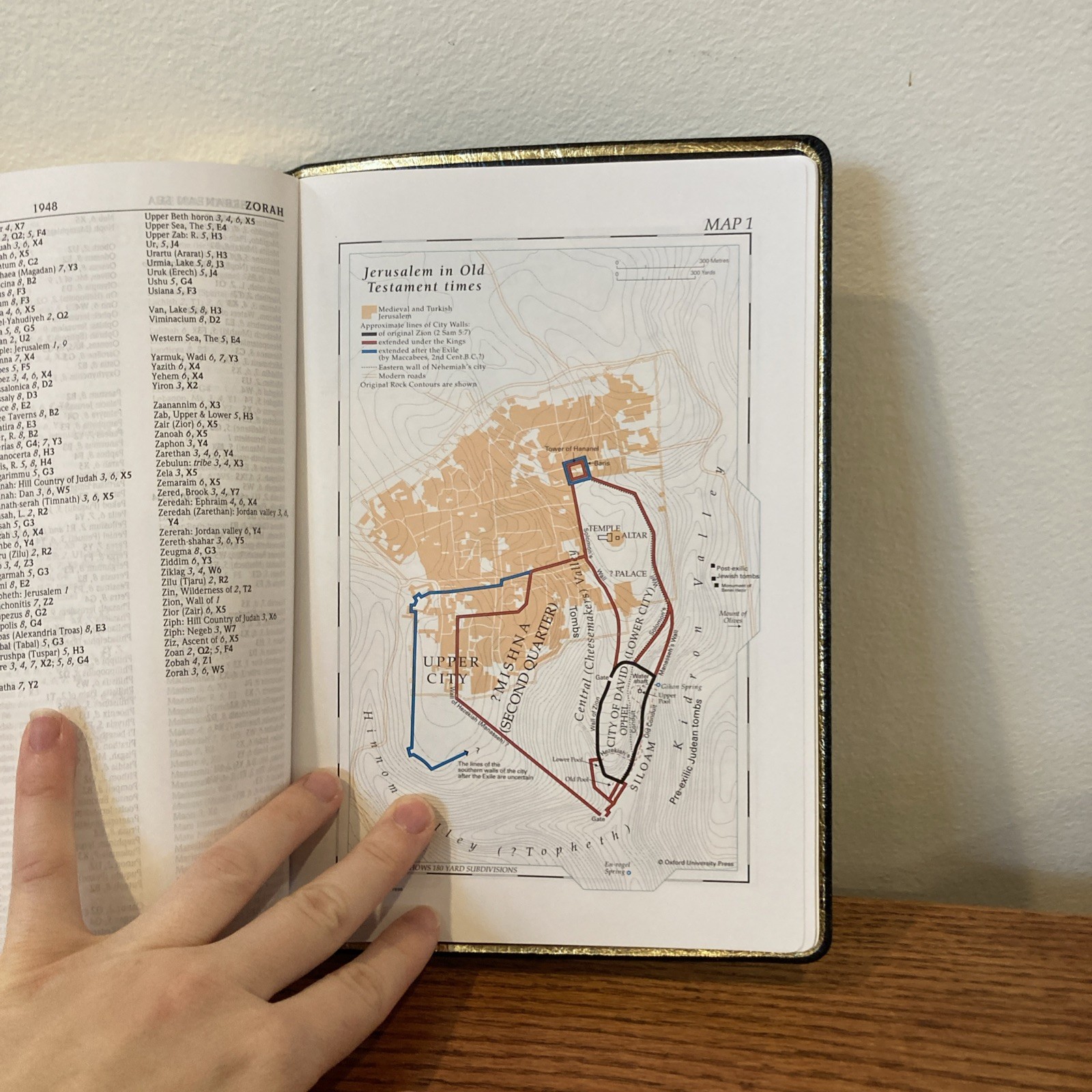 NIV 1984 Scofield Study Bible | Black Genuine Leather | Thumb-Indexed