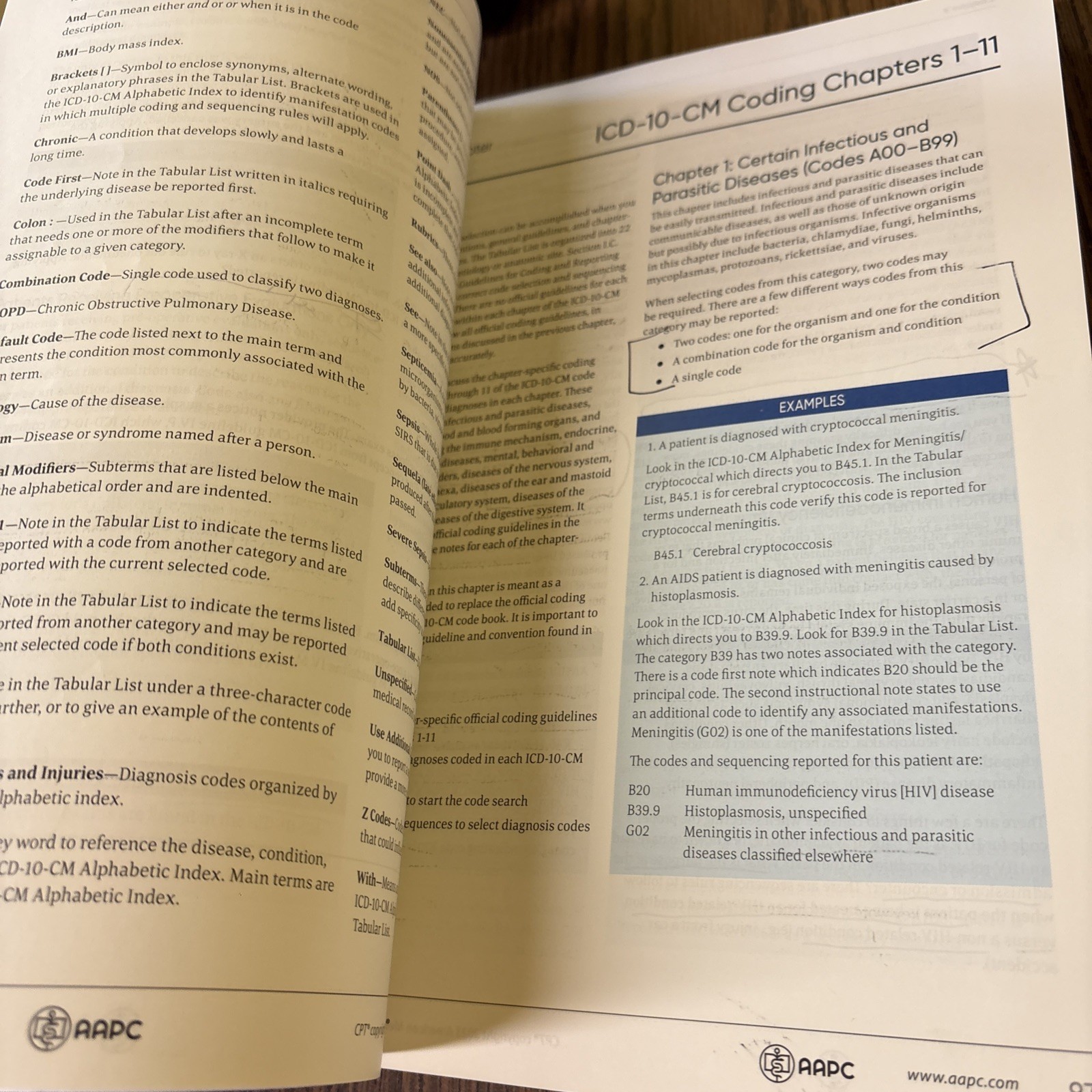 CPC Certified Professional Coder Training Manual 2024 AAPC
