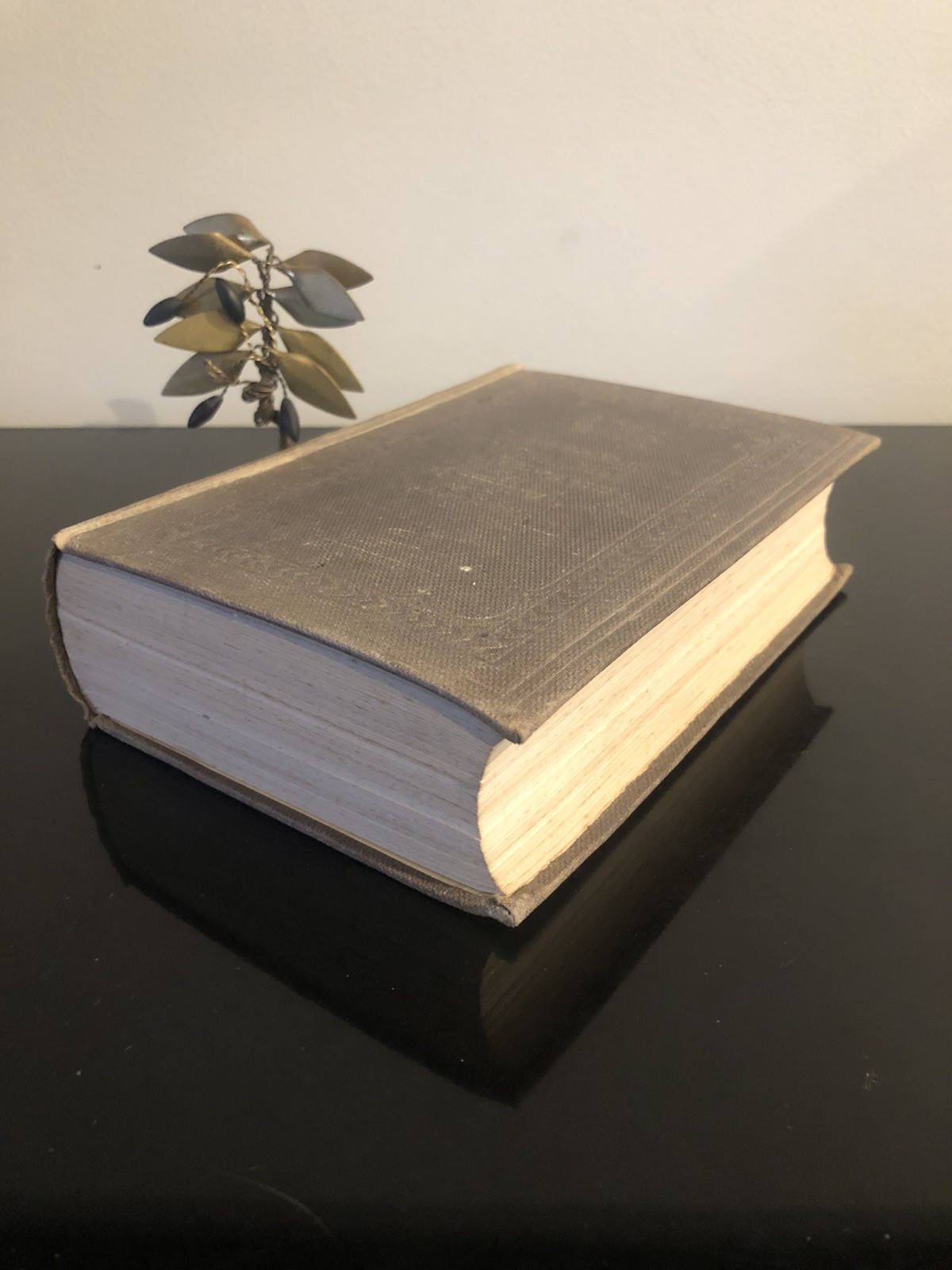 Homoeopathic Vade Mecum H Ruddock Gould&Son 8th Edition 1877 Medical&Surgery ExL
