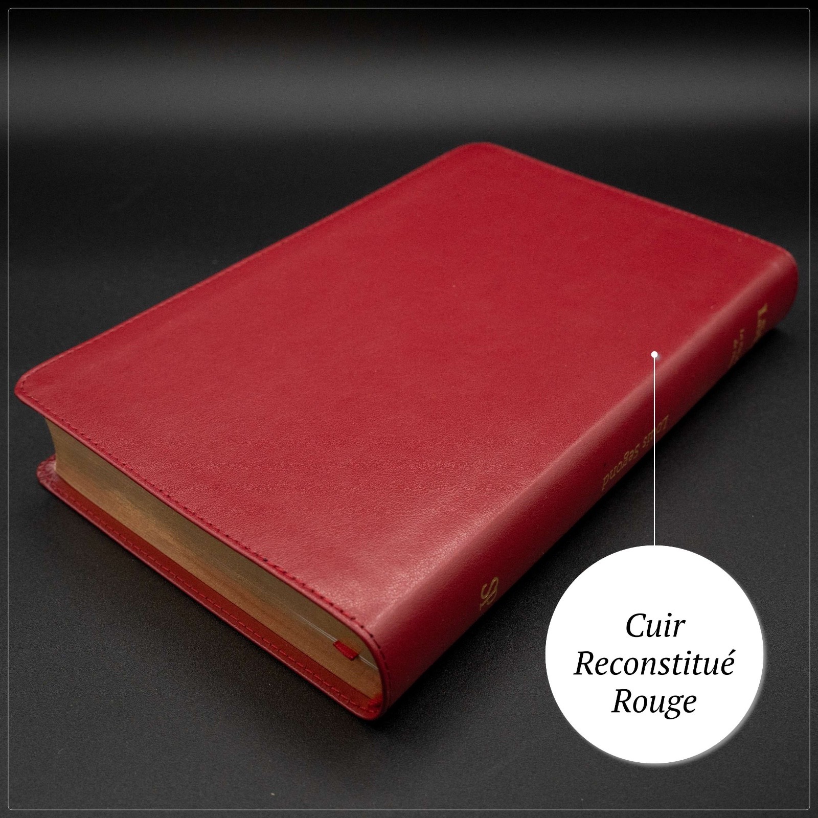 Red Louis Segond French Bible LARGE Print – LSG Bible Rouge en Français by SP