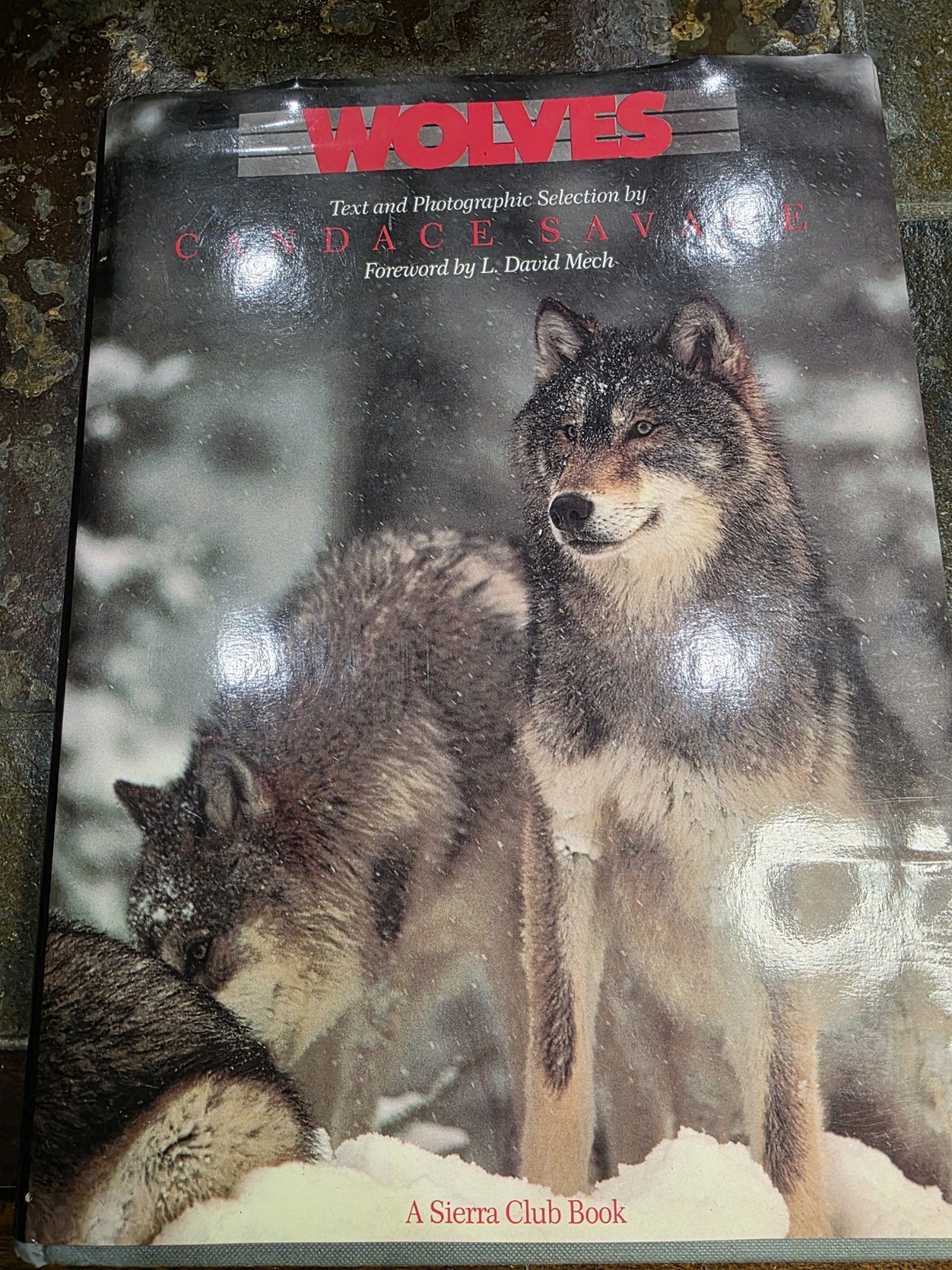 „WOLVES“ by Candace Savage, intro by L David Mech. 1988. HBwDJ, 159 pages, VG