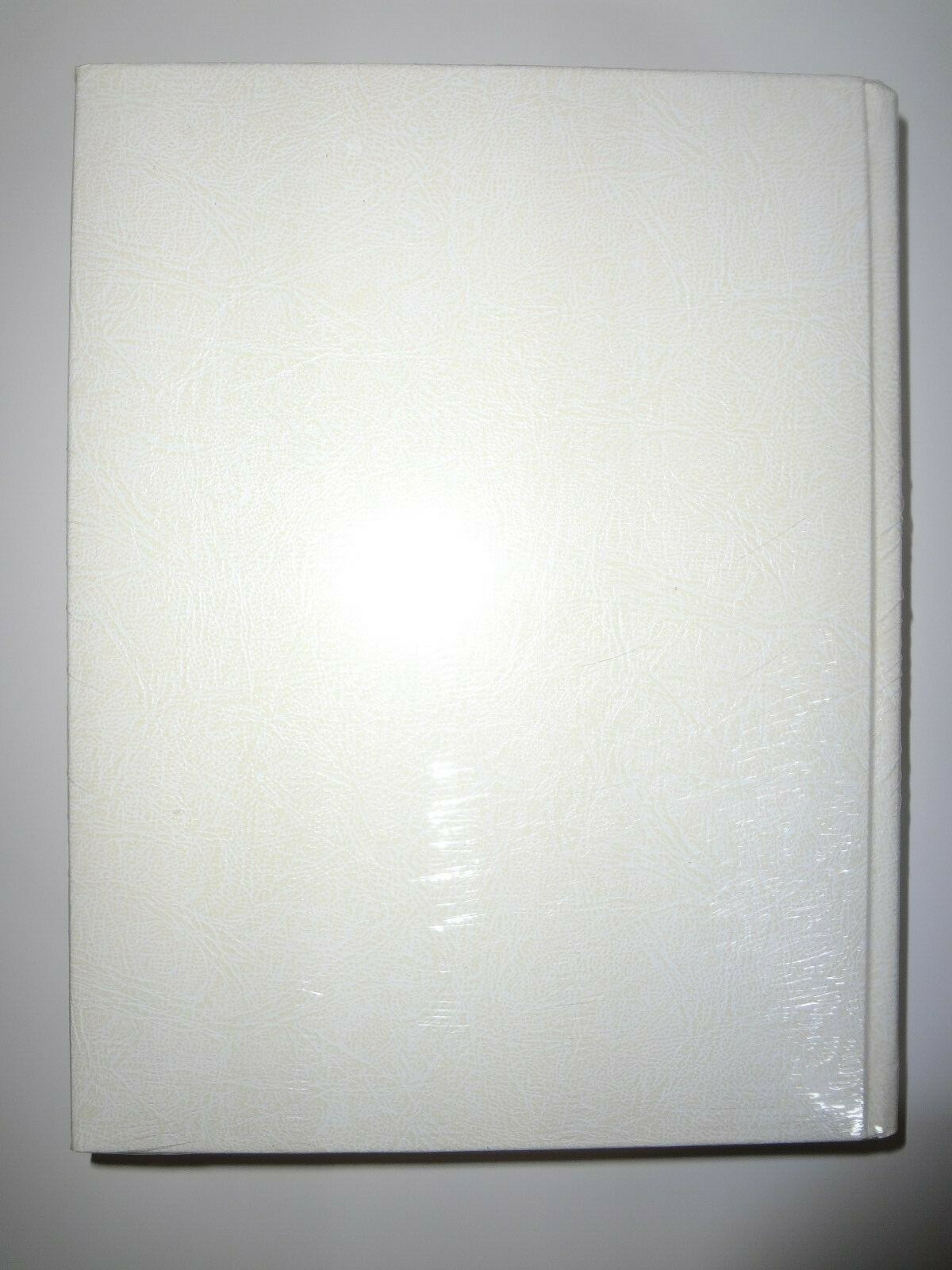 „Catholic Family Bible“ NEW Ivory And Gold 11″ x 9″ Great Gift