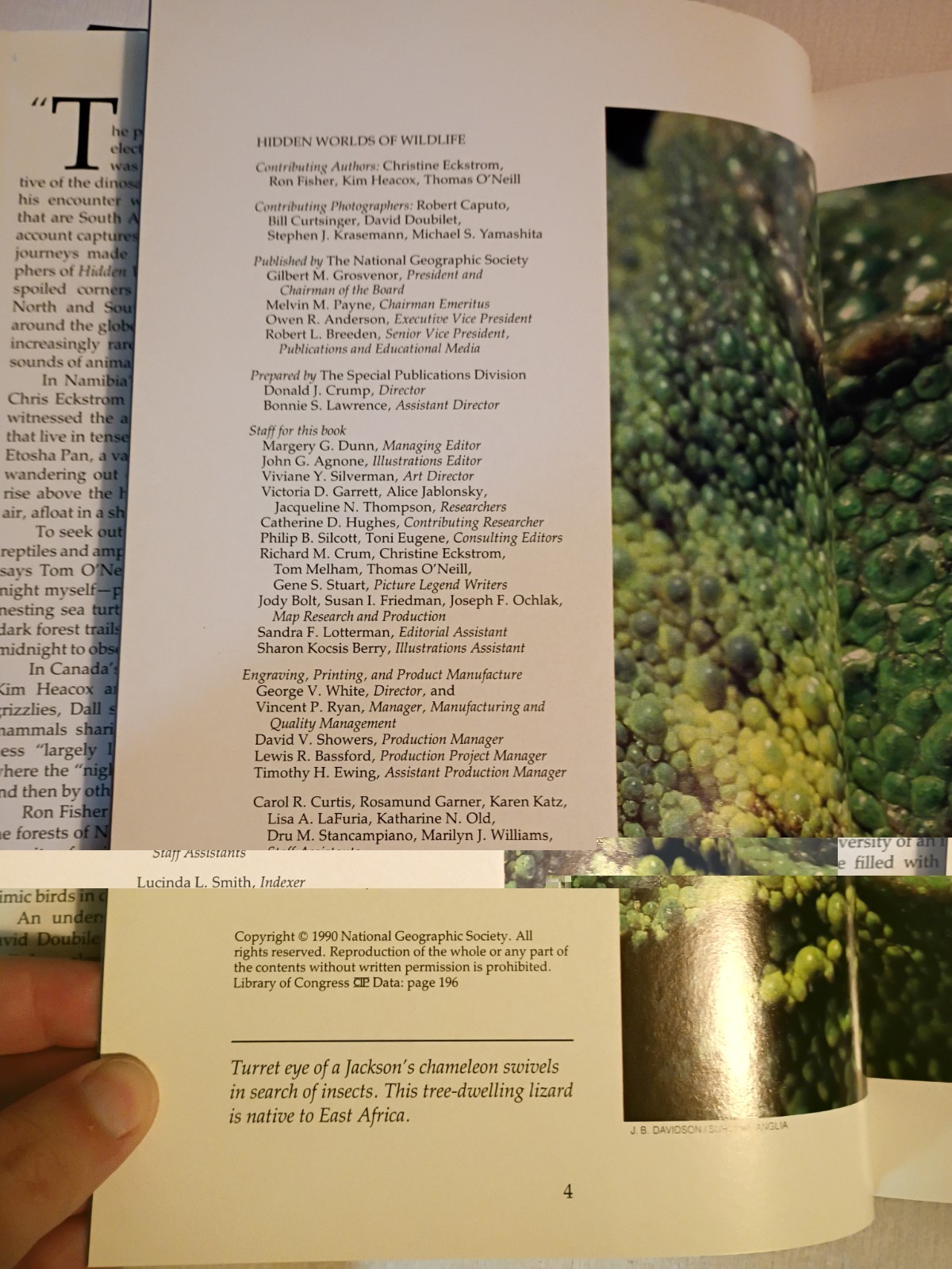 Lot of 4 National Geographic Society Books- Wilderness Animals World HC W DJ