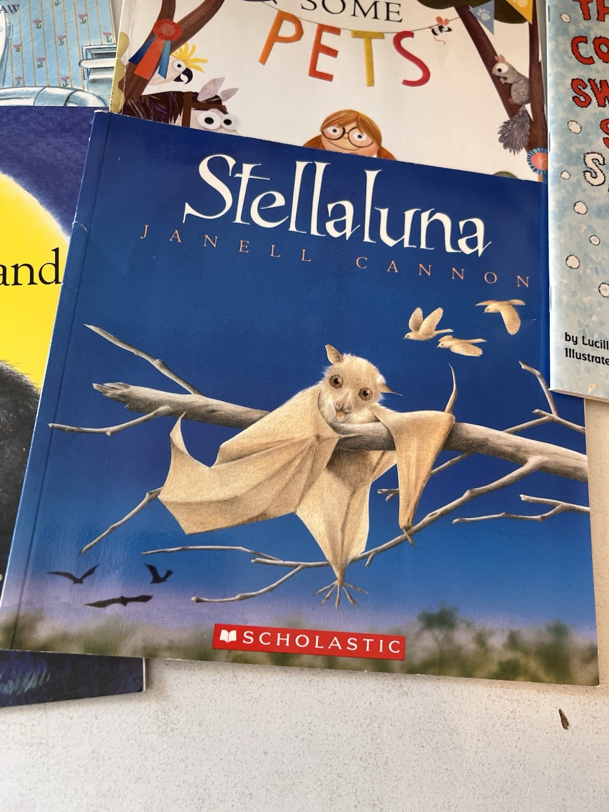 Picture Book Lot of 10 Books Children’s Kids Toddler Daycare Live You Forever