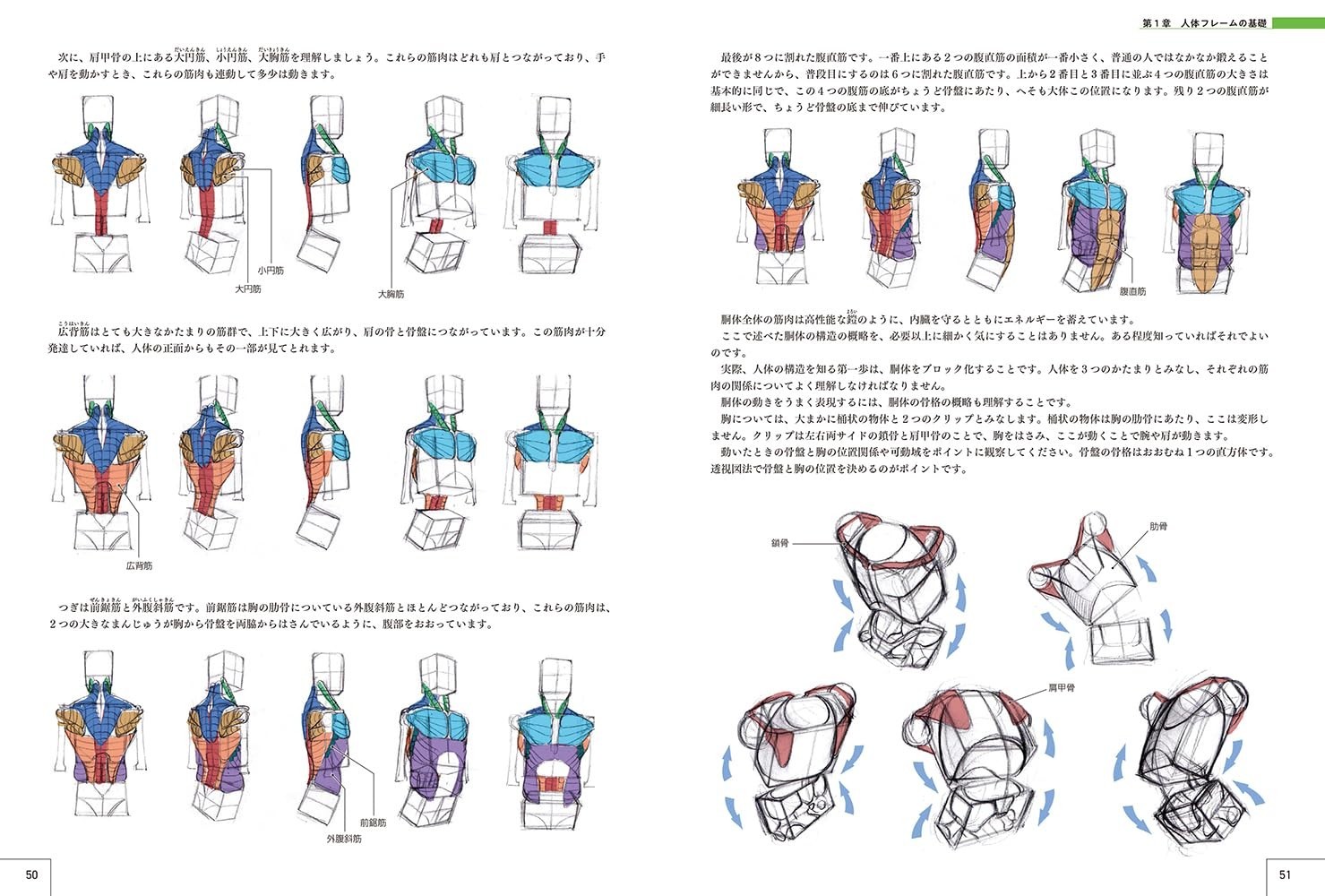 How to Draw Characters Guidebook : Human Body Drawing to Character Design Japan