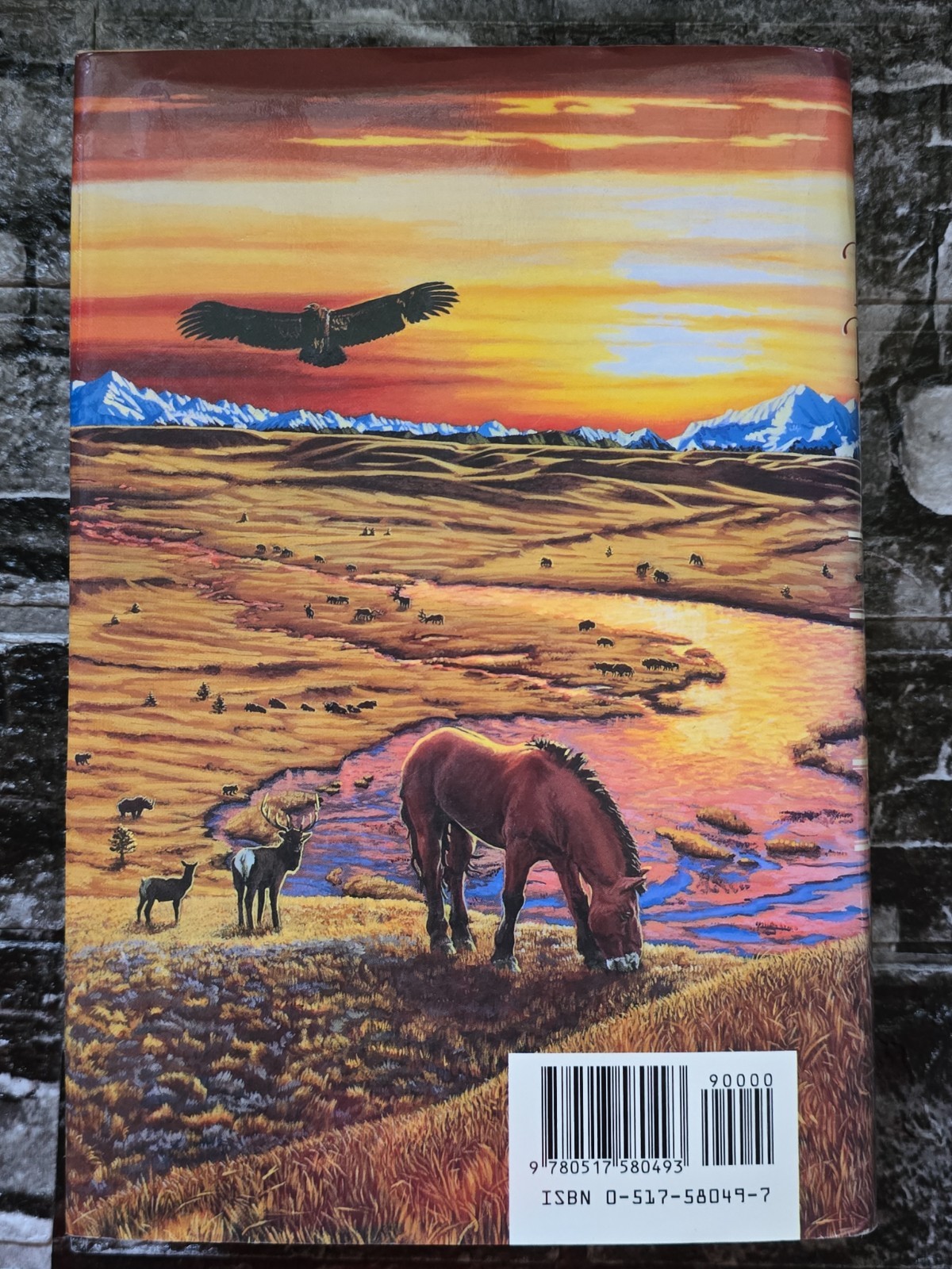 Earth’s Children Complete 6 Book Series Set Jean M. Auel HC/DJ Pre-owned