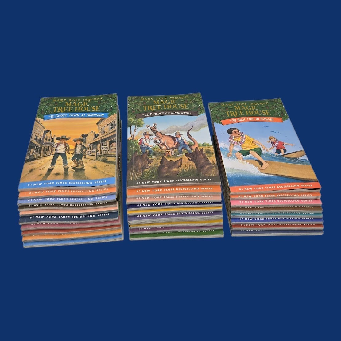 Set 6A: Magic Tree House A Library of Books 1-28 – Mary Pope Osborne Collection