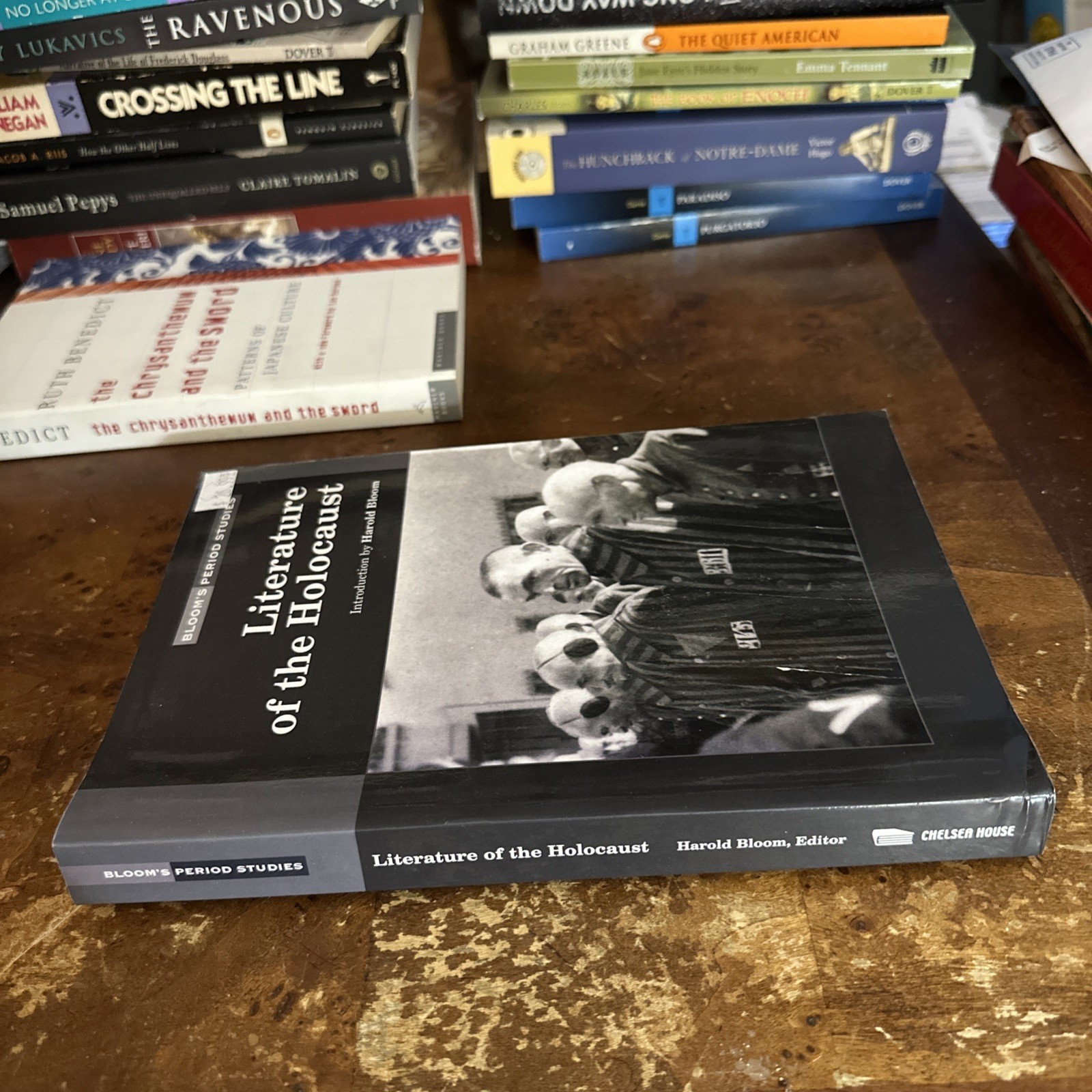 Literature of the Holocaust (Bloom’s Period Studies) Brand New Ships Immediately