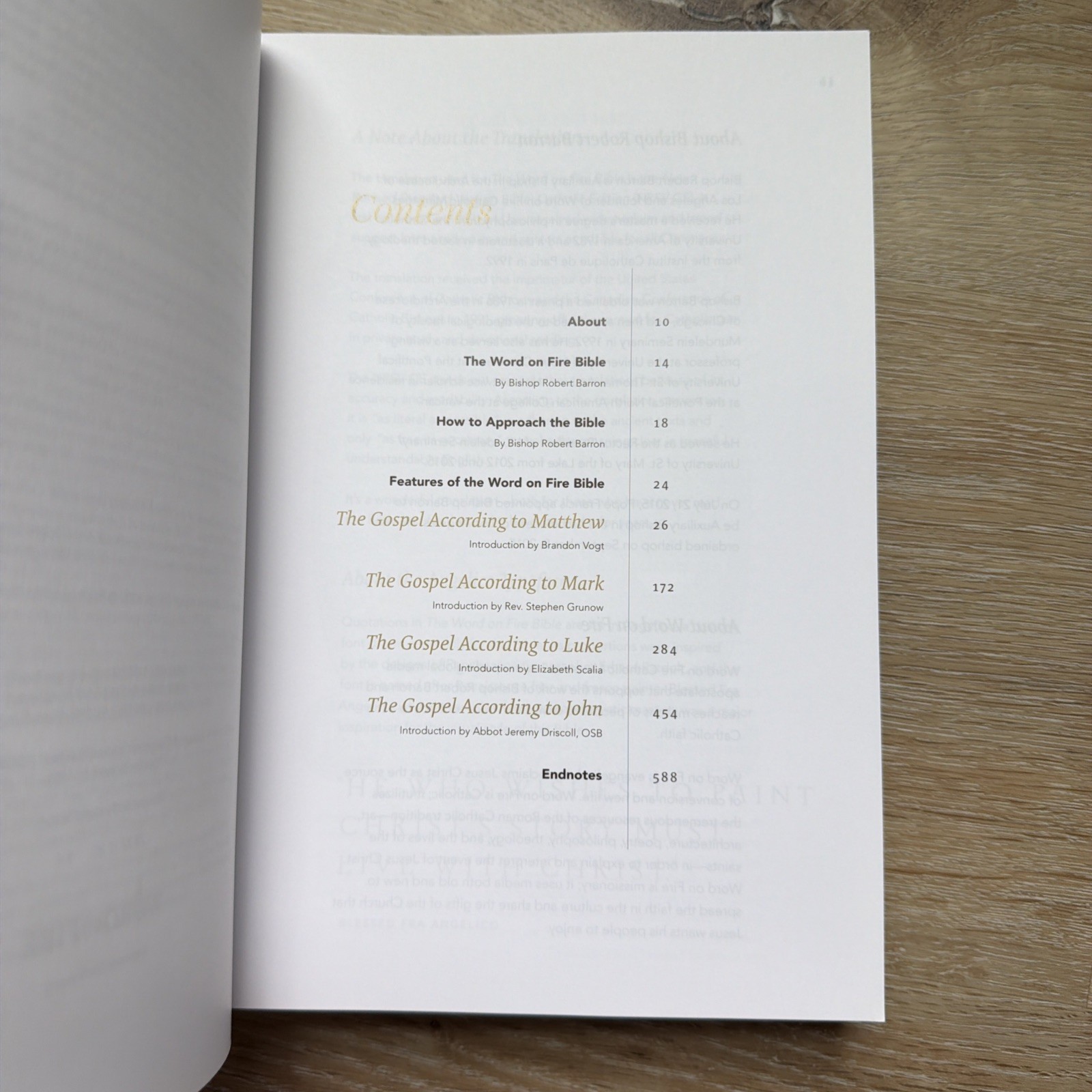 The Word on Fire Bible The Gospels Paperback