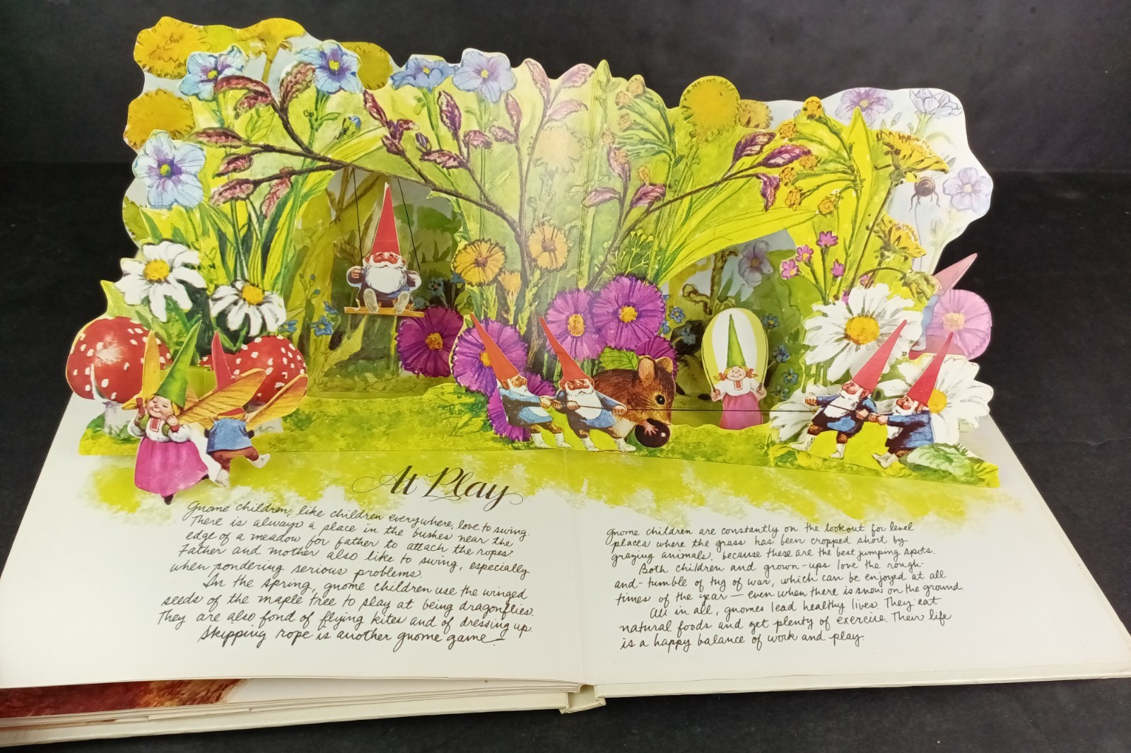 The Pop-Up Book of Gnomes ©1979 Vintage Abrams English Translation Cottagecore